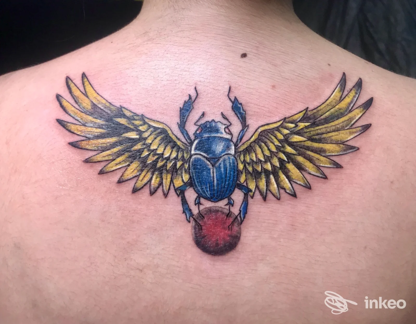Tatuaggio sul dorso di una grande cicala/blatta dai colori blu e dorati con ali spiegate, realizzato su pelle presso Ngiulo’s Tattoo a Reggio di Calabria.