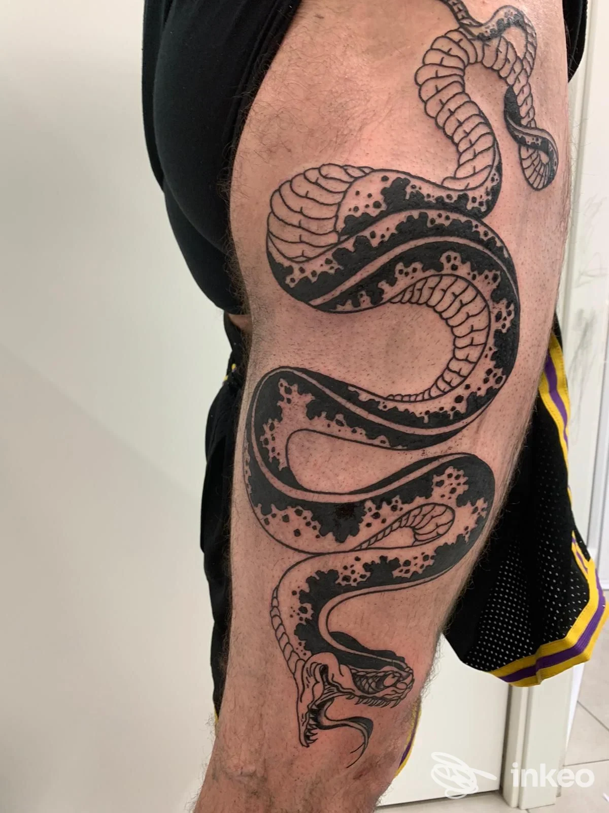 Tatuaggio serpente lungo il braccio di una persona, realizzato in stile linework nero su pelle chiara, visibile da lato.
