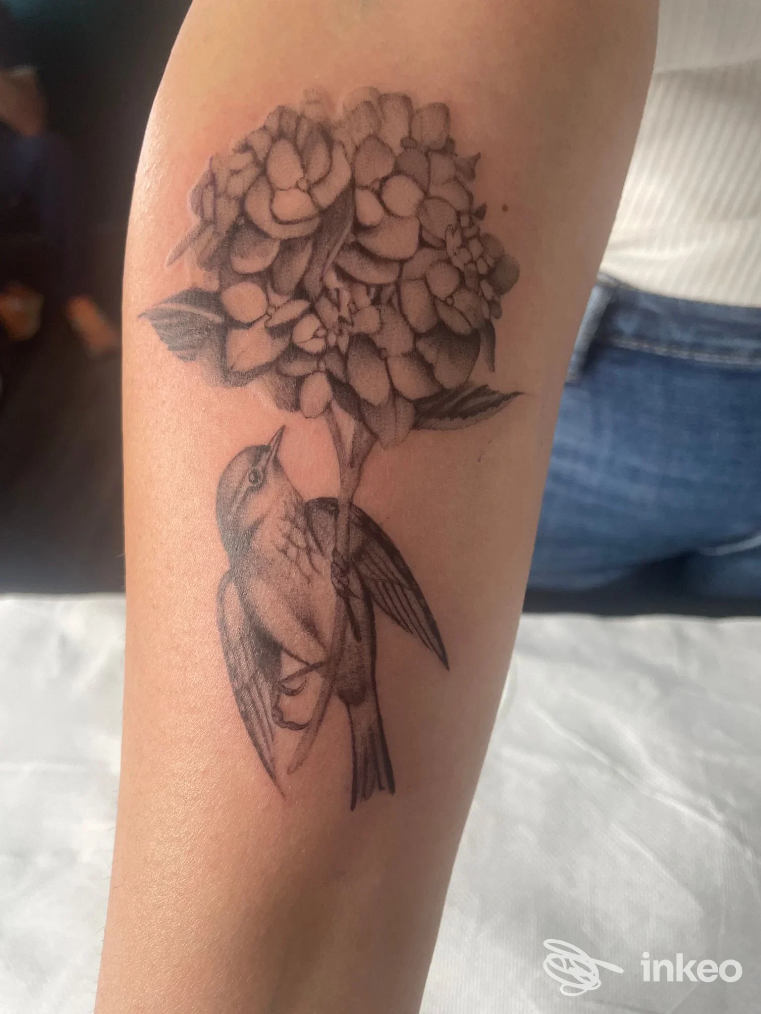 Tattoo in bianco e nero su avambraccio: uccello appollaiato sotto un bouquet di fiori, realizzato da El Barrio Tattoo Shop a Vibo Valentia.