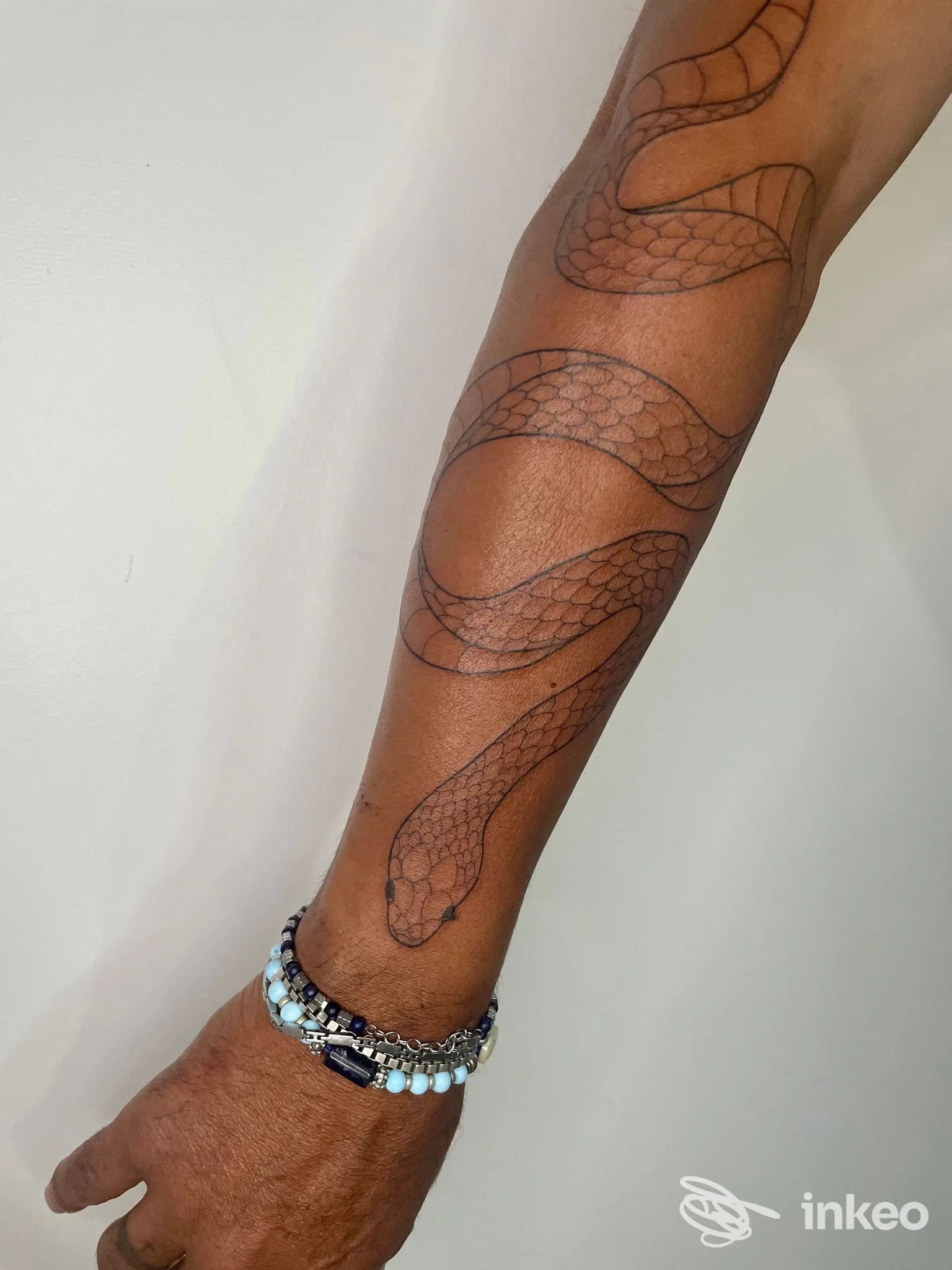 Dettaglio di serpente tatuato lungo l'avambraccio su pelle, realizzato dal Black Flower a Cerisano, nessun volto visibile.