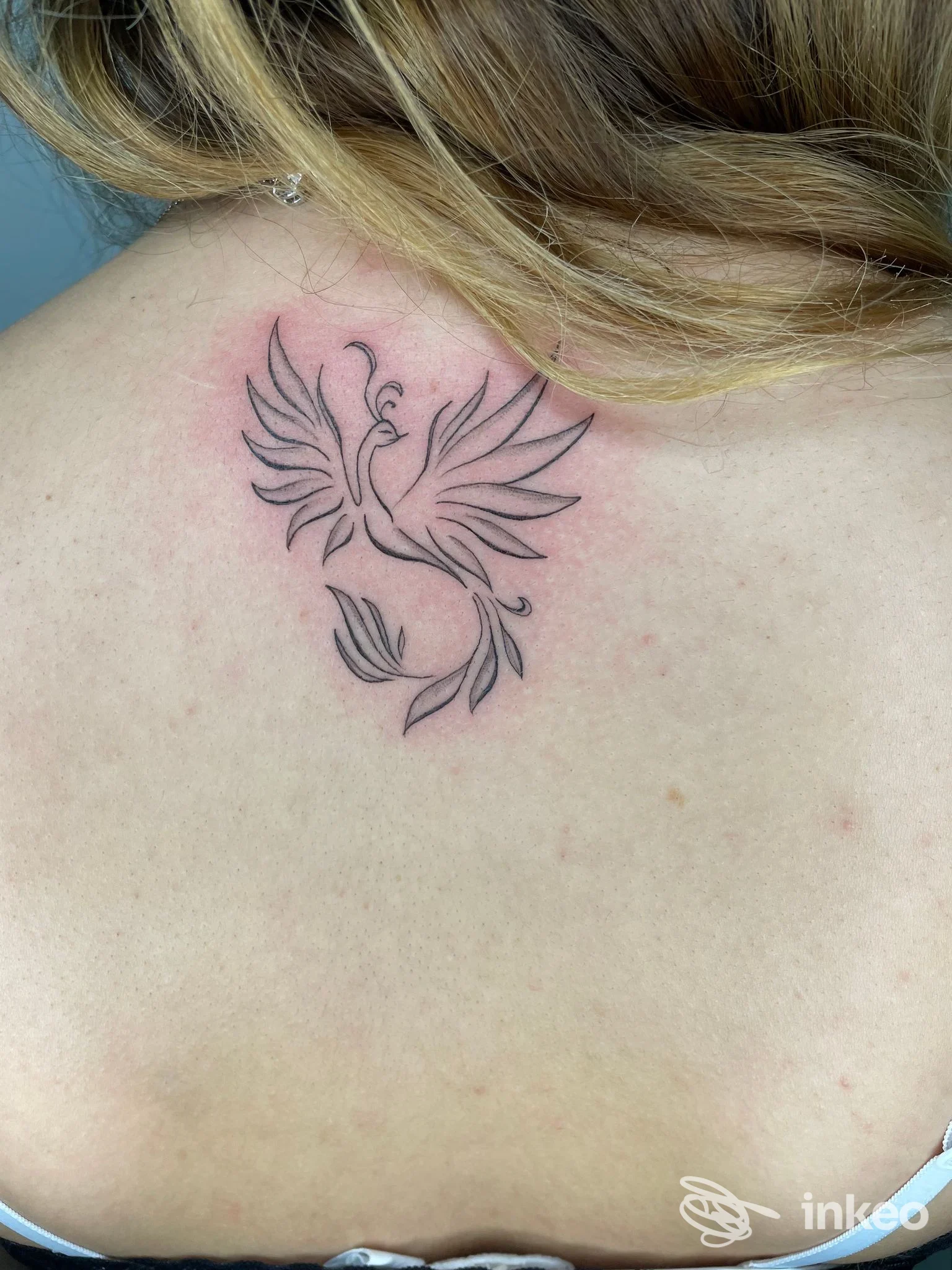 Tattoo su pelle visibile sulla spalla/interno della schiena: disegno di fenice stilizzata in linea nera, che si espande con ali aperte, realizzato dalla pelle; stile linework. Studio Black Flower, Cerisano.