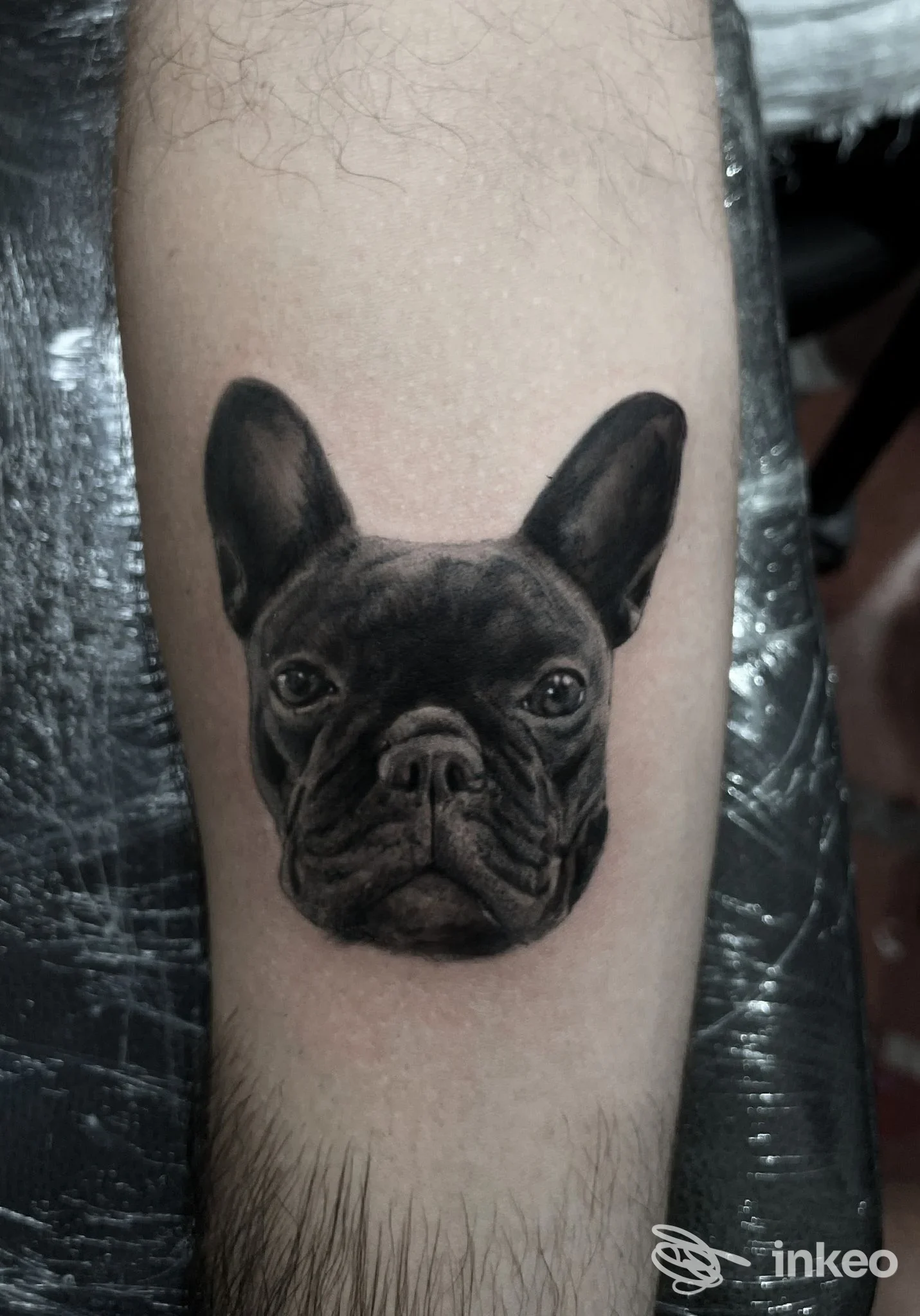 Tattoo realistico di un cane bulldog francese sul braccio, realizzato in bianco e nero su pelle chiara.