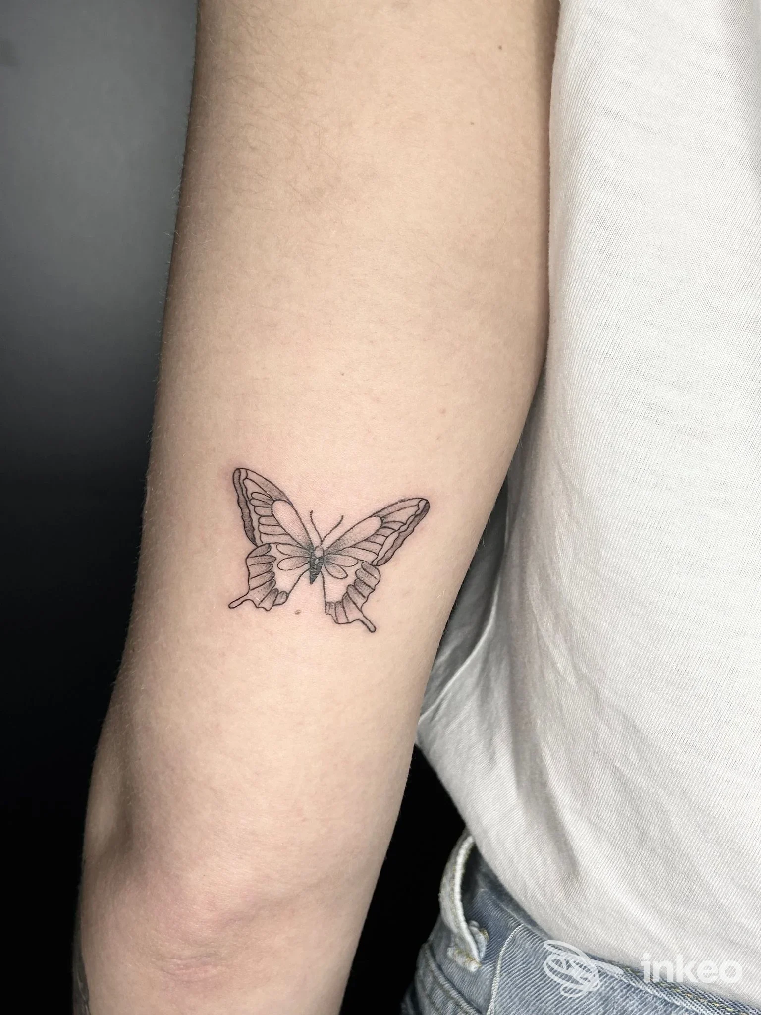 Piccolo tattoo di farfalla sul braccio di una persona, linea sottile nera su pelle chiara.