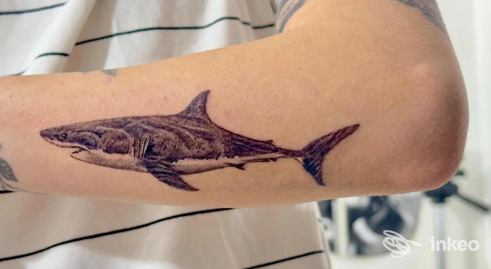 Tattoo realistico di uno squalo su un bicipite, realizzato da Inkle Sam Tattoo a Montalto Uffugo.