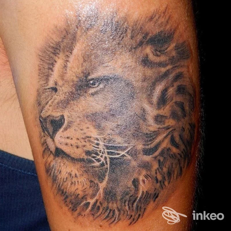 Tatuaggio realistico di leone su pelle, in toni nero/grigi, visibile sul braccio; realizzato dal studio Inkle Sam Tattoo a Montalto Uffugo.