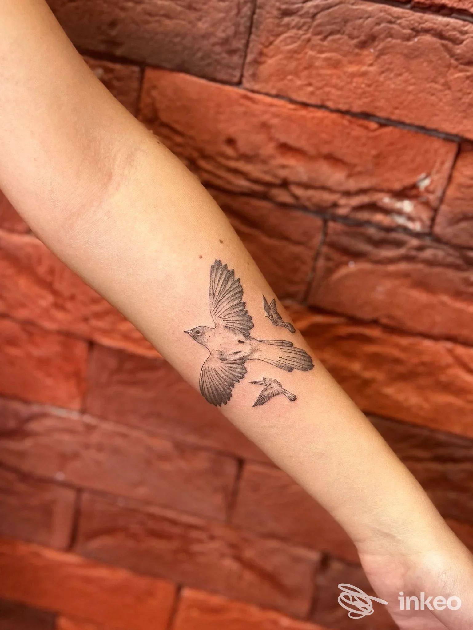Tattoo su avambraccio raffigurante uccelli in stile linework, sfondo muro in mattoni rossi.