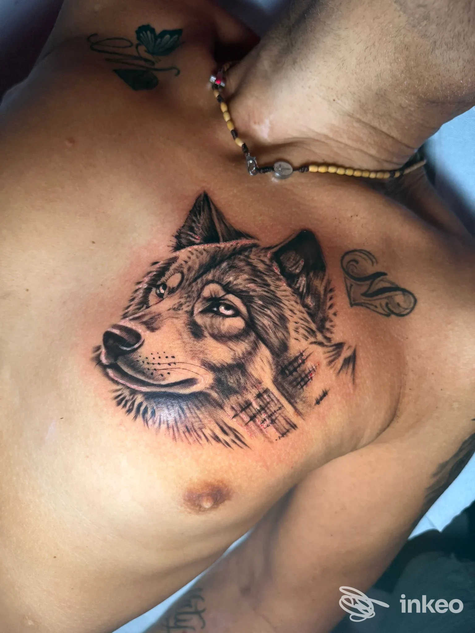 Tattoo realistico di un lupo sul torace di una persona, con altri piccoli tattoo visibili sullo sterno e sul polso.