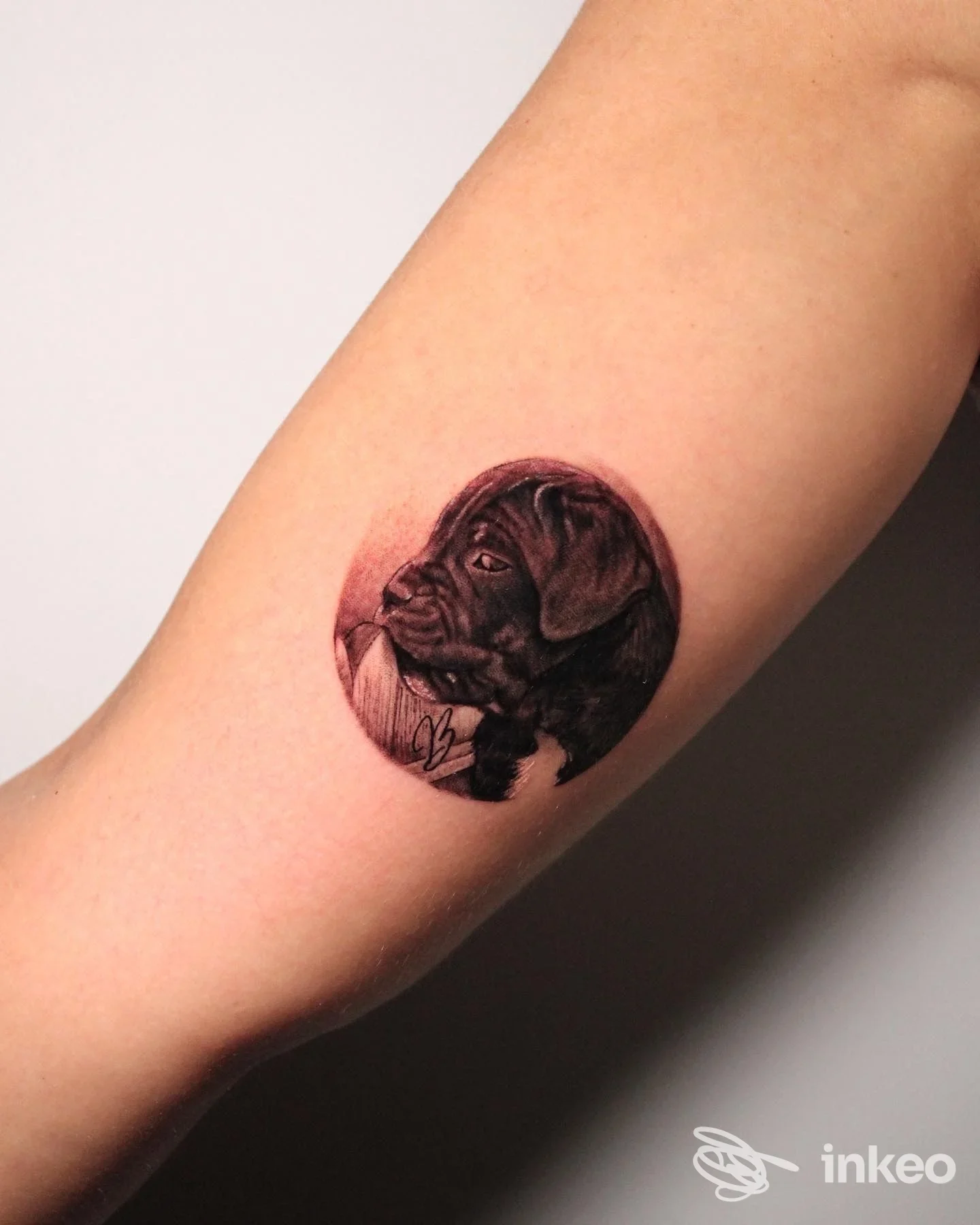 Ritratto realistico di un cane tatuato sull'avambraccio, realizzato da Black Eye Tattoo.