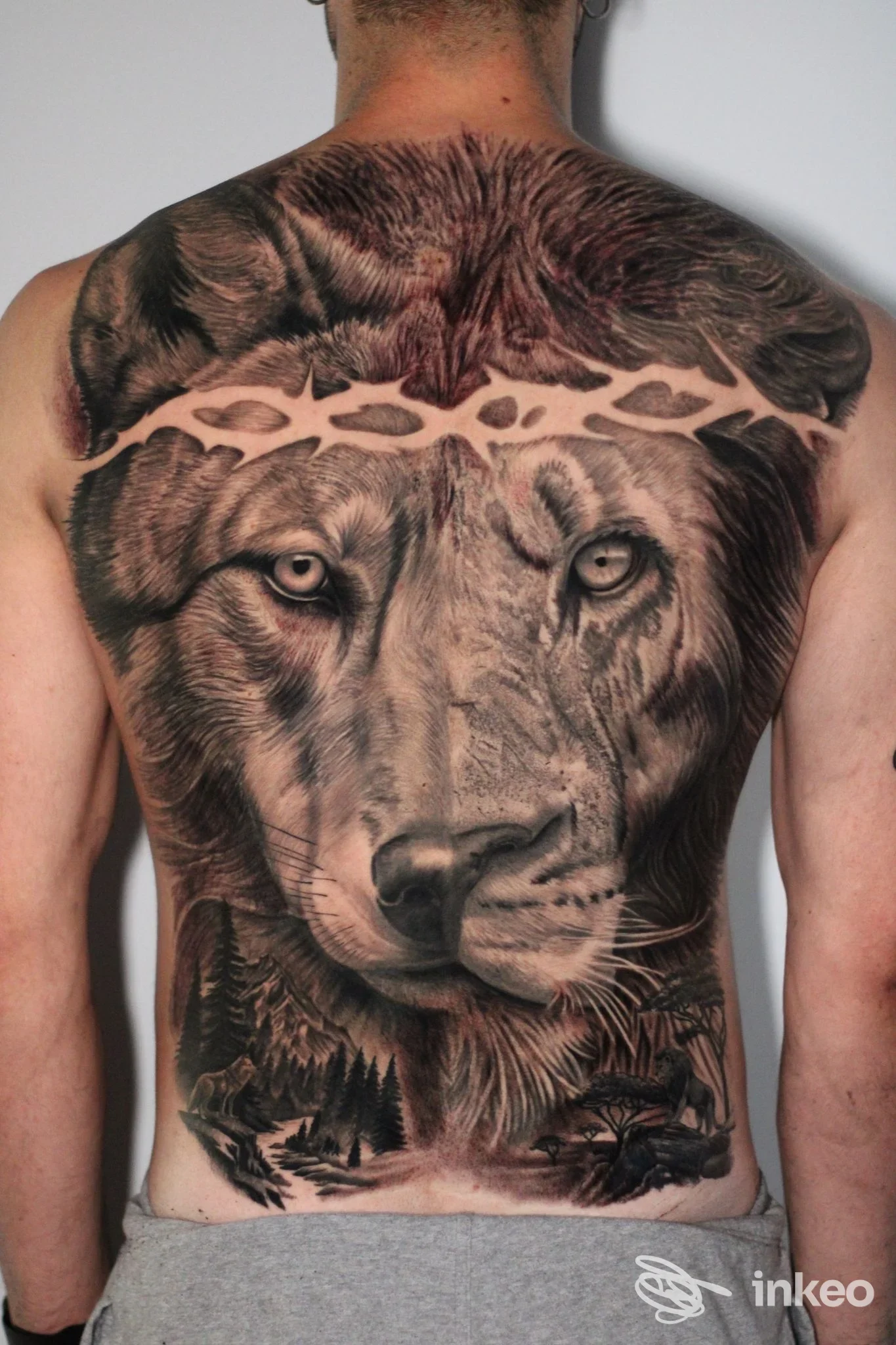 Tattoo realistico su schiena di un leone, con dettaglio accurato delle fauci e degli occhi, bordo superiore decorato, paesaggio boschivo in basso.
