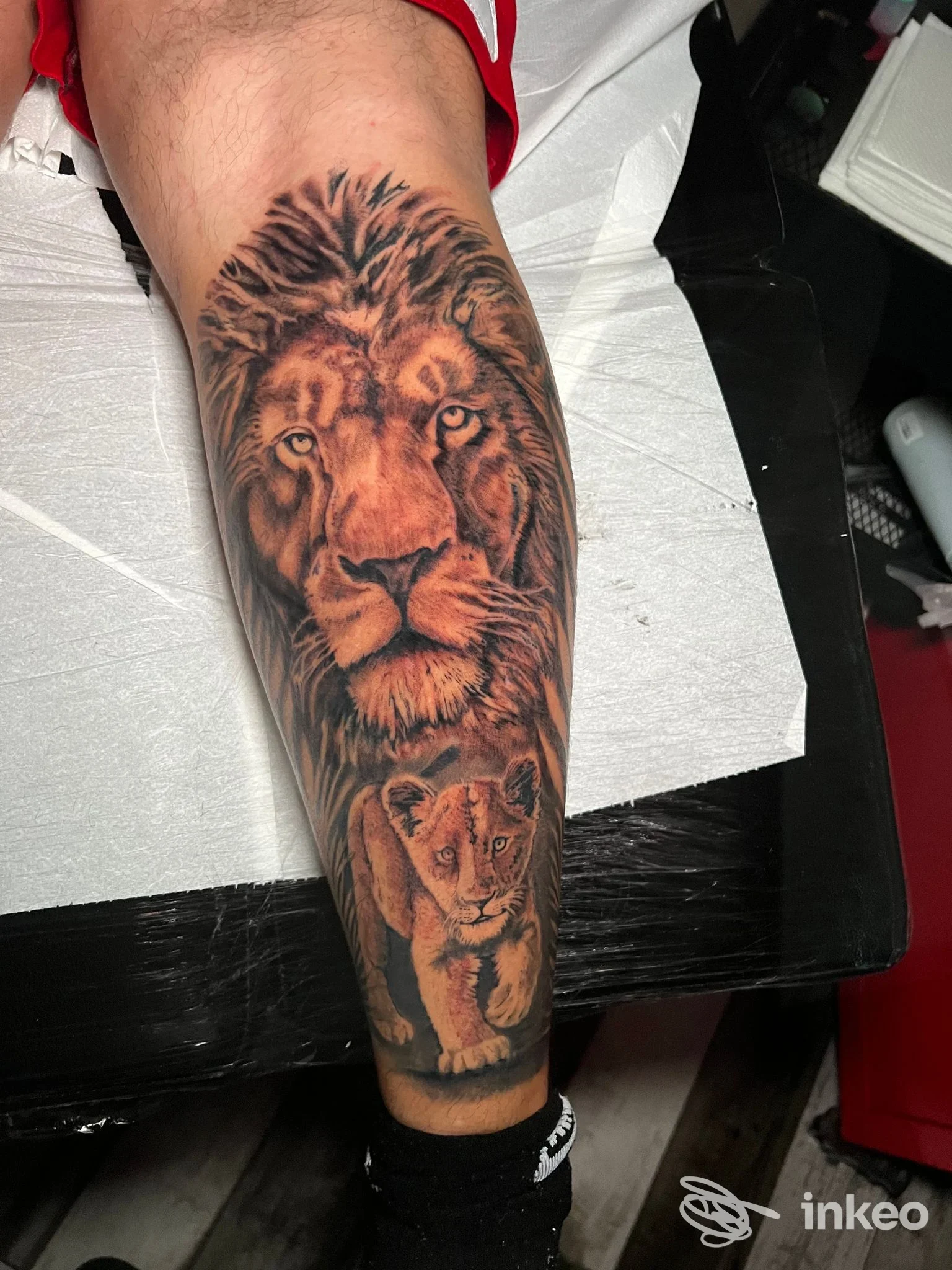 Tattoo visibile su avambraccio che raffigura un leone grande, con un dettaglio di un animale più piccolo sotto, colori nero e marrone con sfumature.