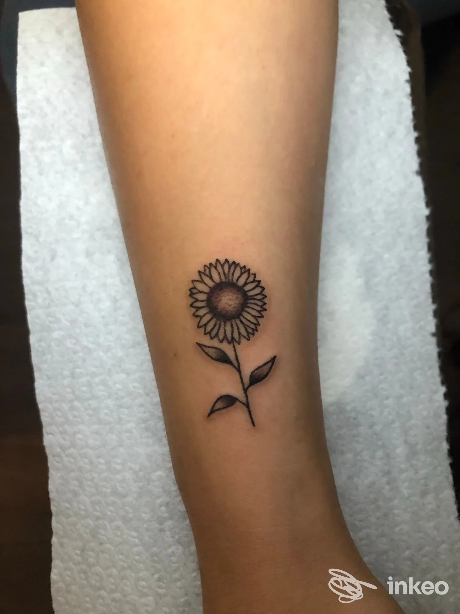 Tattoo raffigurante un girogole sul polso/avambraccio sinistro, disegno a linea nera con steli e due foglie.