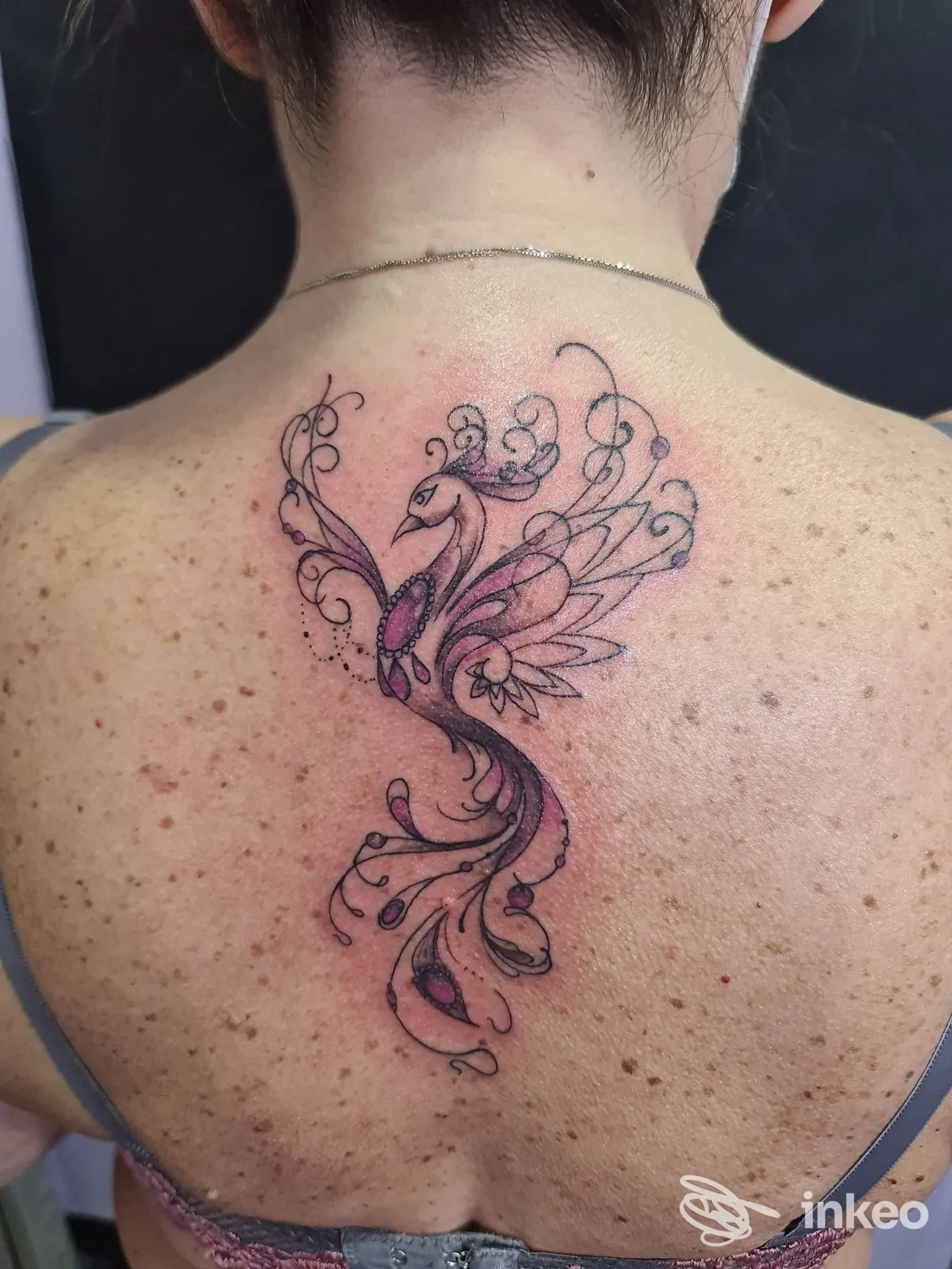 Tattoo sul dorso della schiena raffigurante una fenice stilizzata con motivi floreali, realizzata su pelle; studio Gotika Tattoo Studio, Napoli.