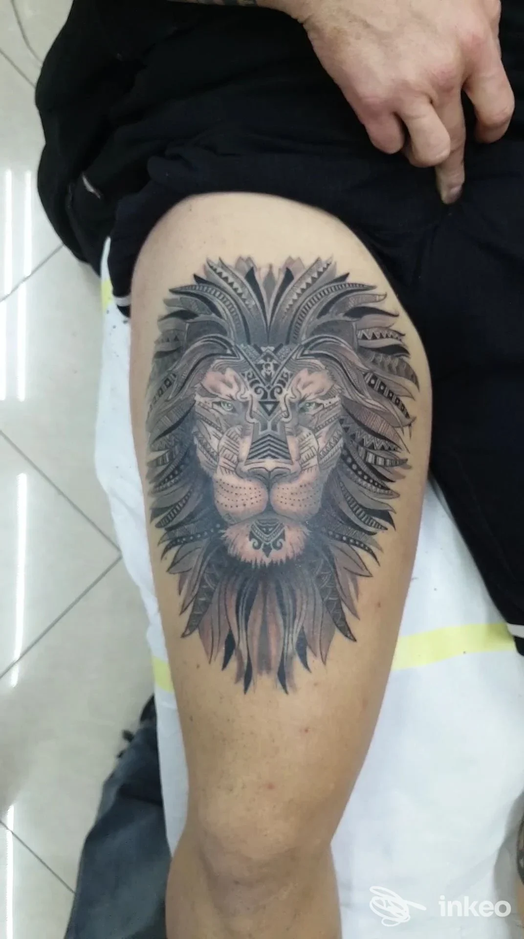 Leone tatuato sulla coscia di una persona, realizzato in nero e grigio con una cresta di criniera dettagliata. Studio Alfy78tattoo, Quarto.