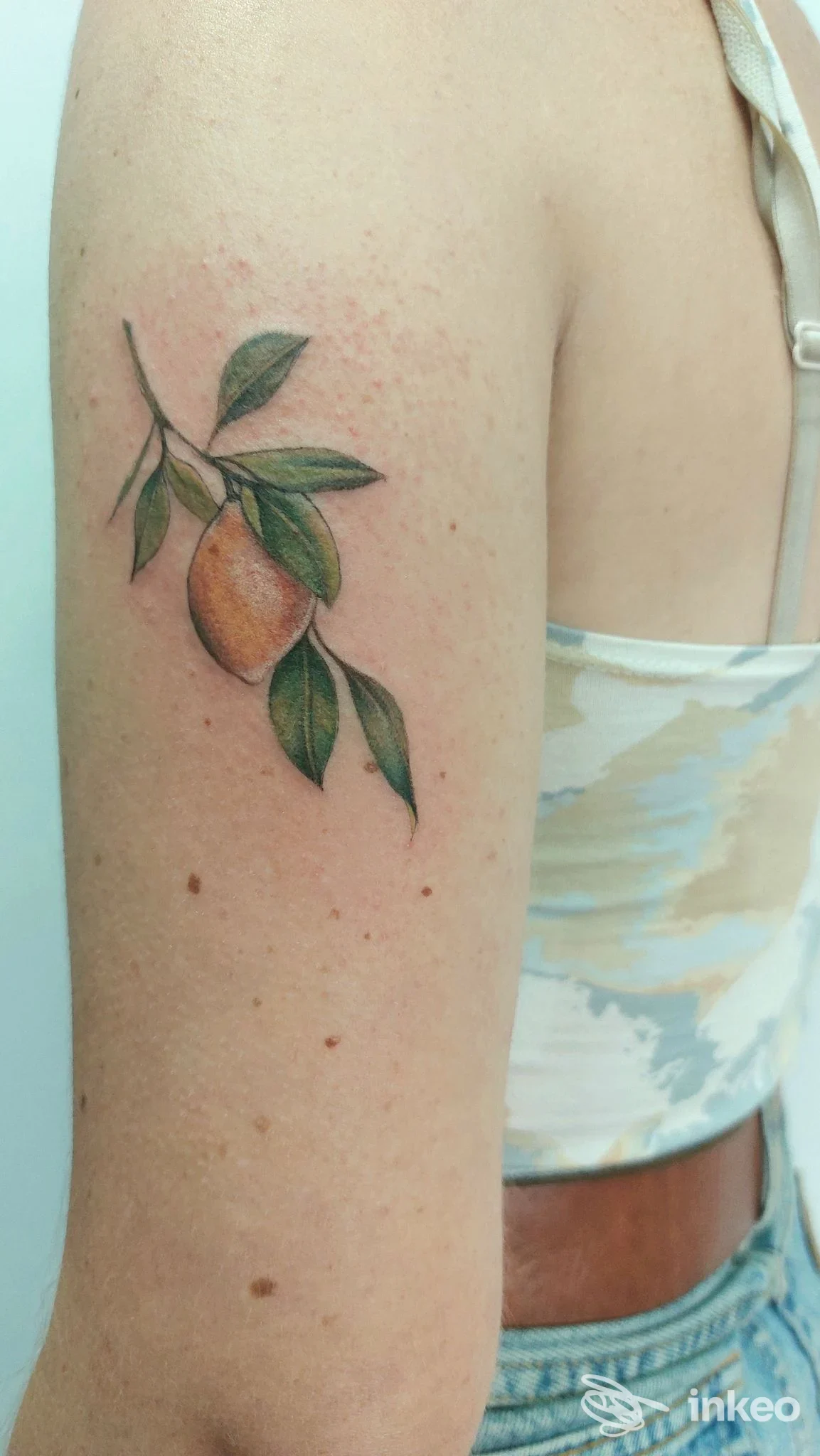 Braccio di una persona con tatuaggio a pesca e foglie, colore realistico su pelle chiara, sfondo neutro.