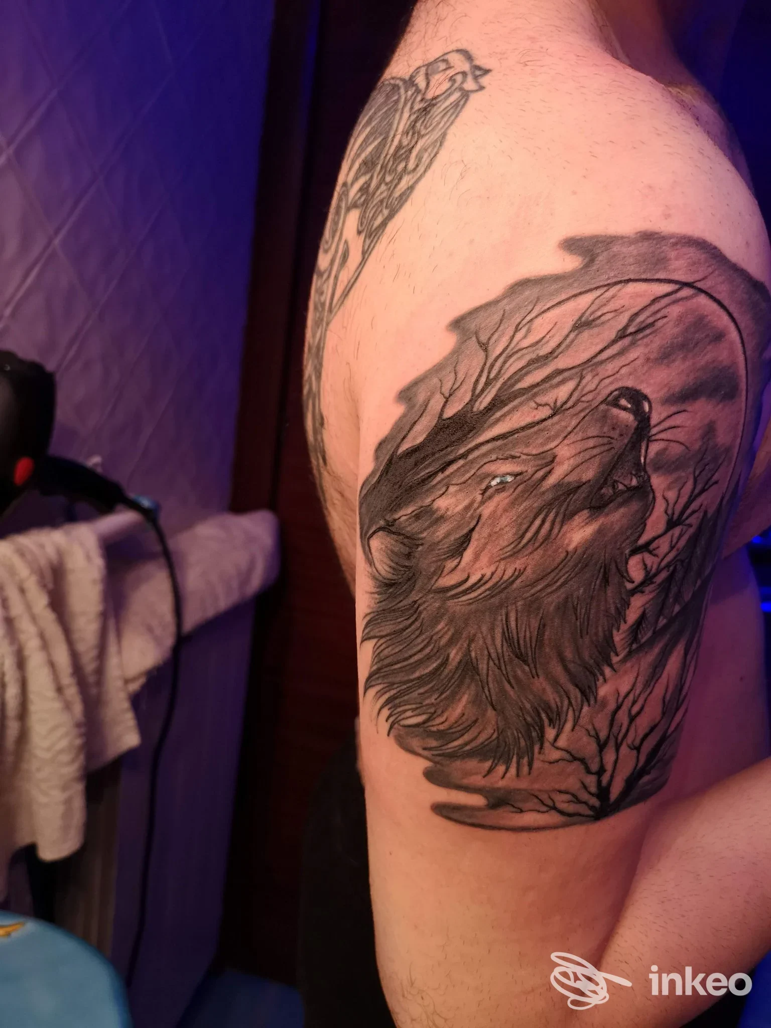 Tattoo realistico di un lupo sulla parte superiore del braccio di una persona, visibile in braccio esposto; studio Brutustattooshop, Nola.