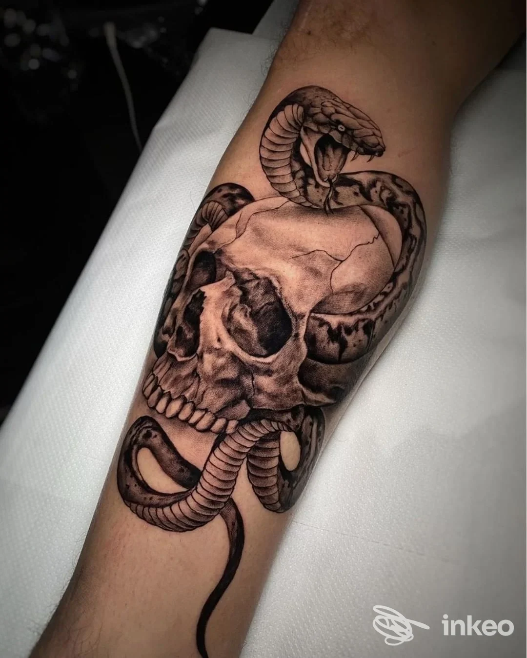 Tatuaggio realizzato su pelle: testa di scheletro con serpente avvolto intorno al braccio, tonalità in bianco e nero, esecuzione dettagliata su area avambraccio.