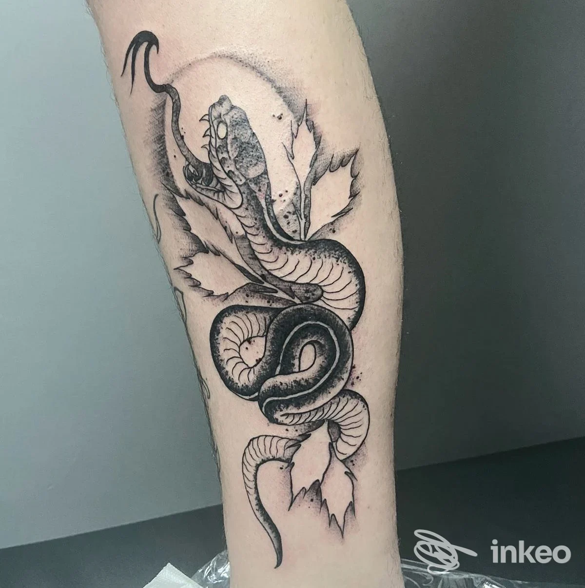 Tattoo di serpente realistico sul braccio realizzato dallo studio Officine D'agostino Tattoo Studio a Mercato San Severino.