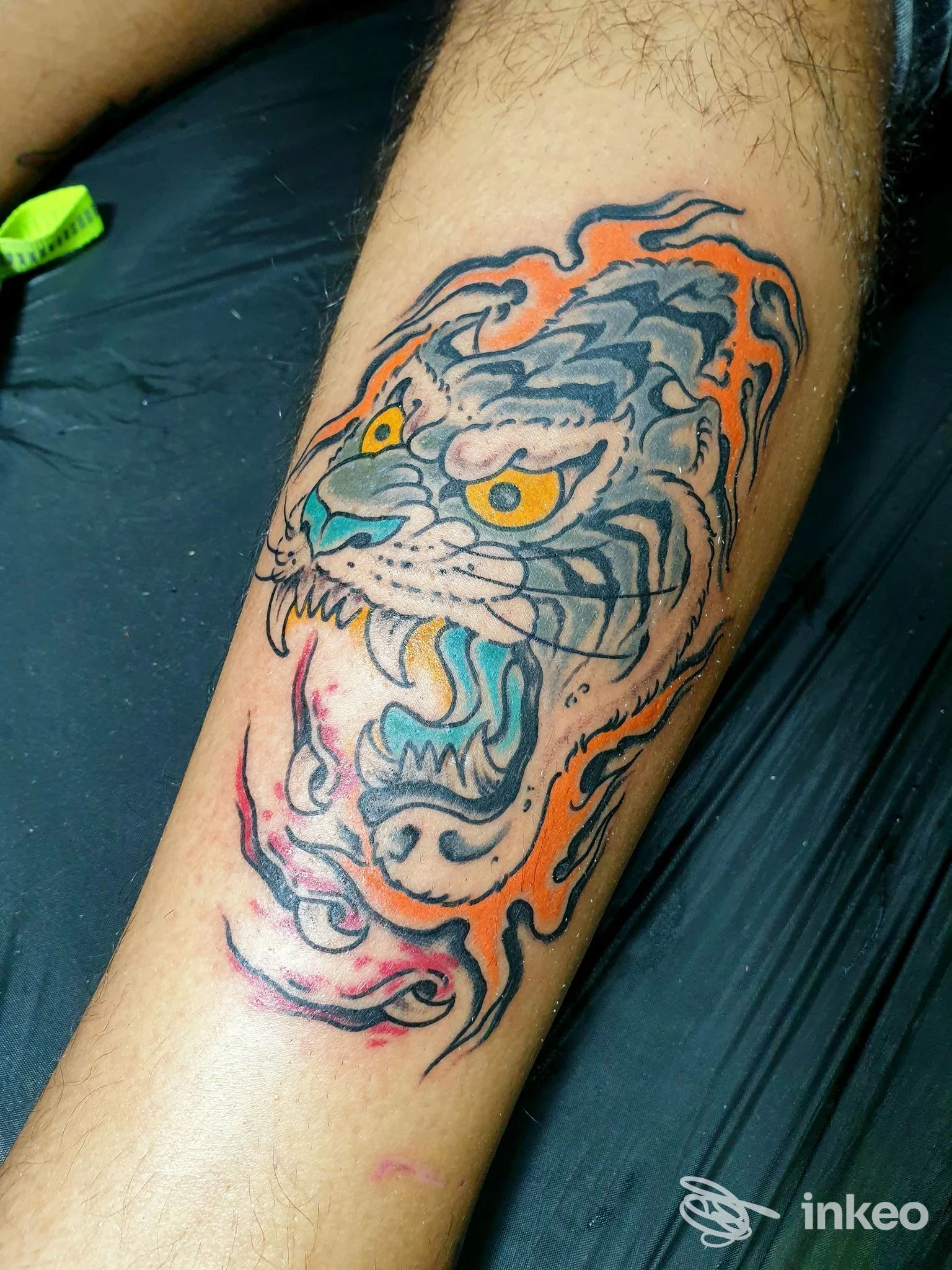 Tatuaggio visibile su pelle raffigurante un drago stilizzato con contorni arancioni e sfumature blu/grigie, colori vividi, visibile sulla gamba.