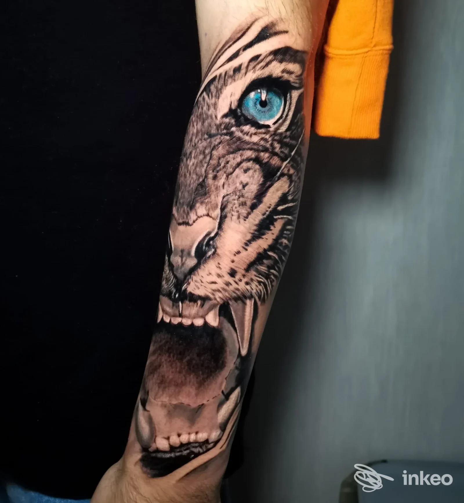 Avambraccio raffigurante tatuaggio realistico di tigre con occhio azzurro, eseguito da VirusInkTattoo Studio a Pontecagnano Faiano.