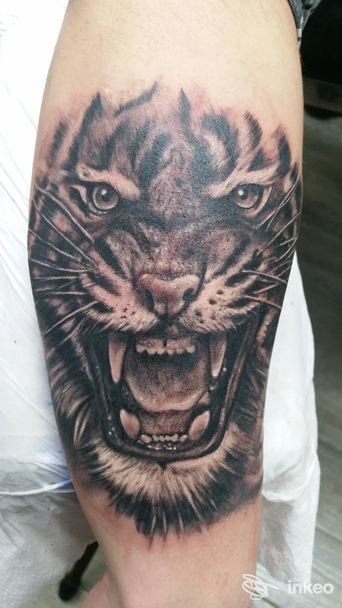 Tatuaggio realistico di una testa di tigre, in bianco e nero, sul braccio di una persona.