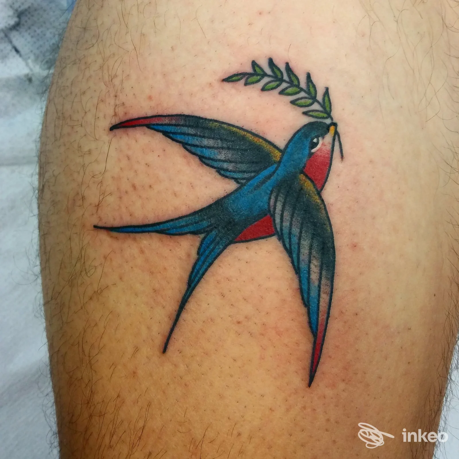 Tatuaggio su pelle raffigurante un colibrì blu in volo con una piccola foglia verde al becco, colori vividi e linee nette