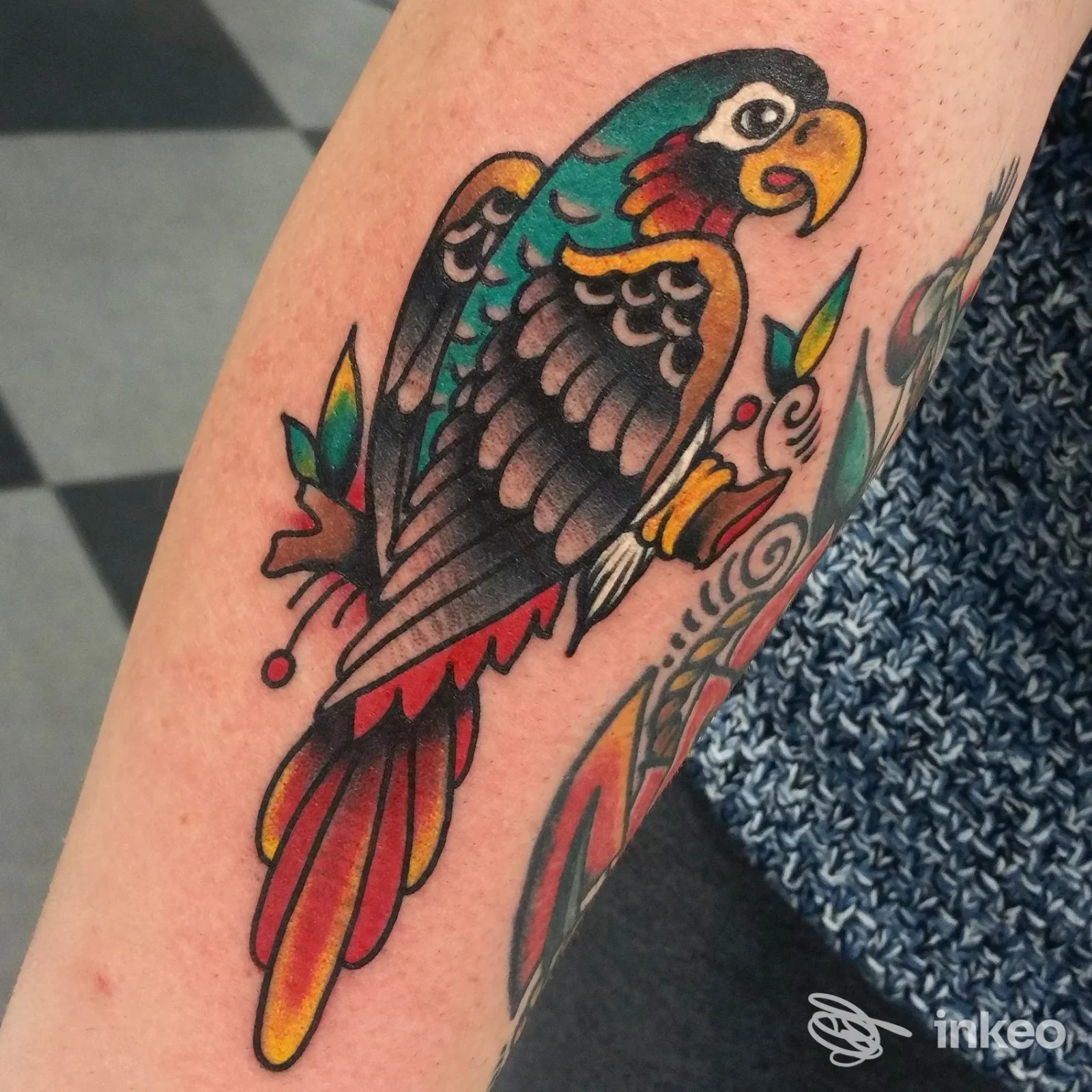 Tatuaggio su pelle raffigurante un pappagallo colorato eseguito da Black Stone Tattoo a Torre del Greco.