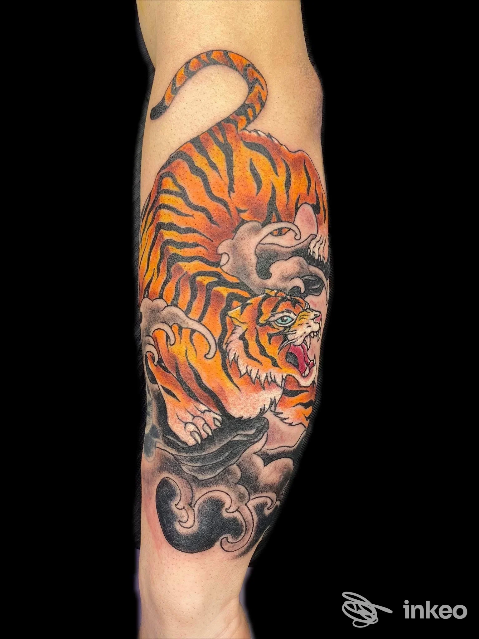 Tatuaggio realistico di tigre arancione con strisce nere su braccio, accompagnato da nuvole grigie; colori vividi e dettagli definiti su pelle reale, sfondo nero.
