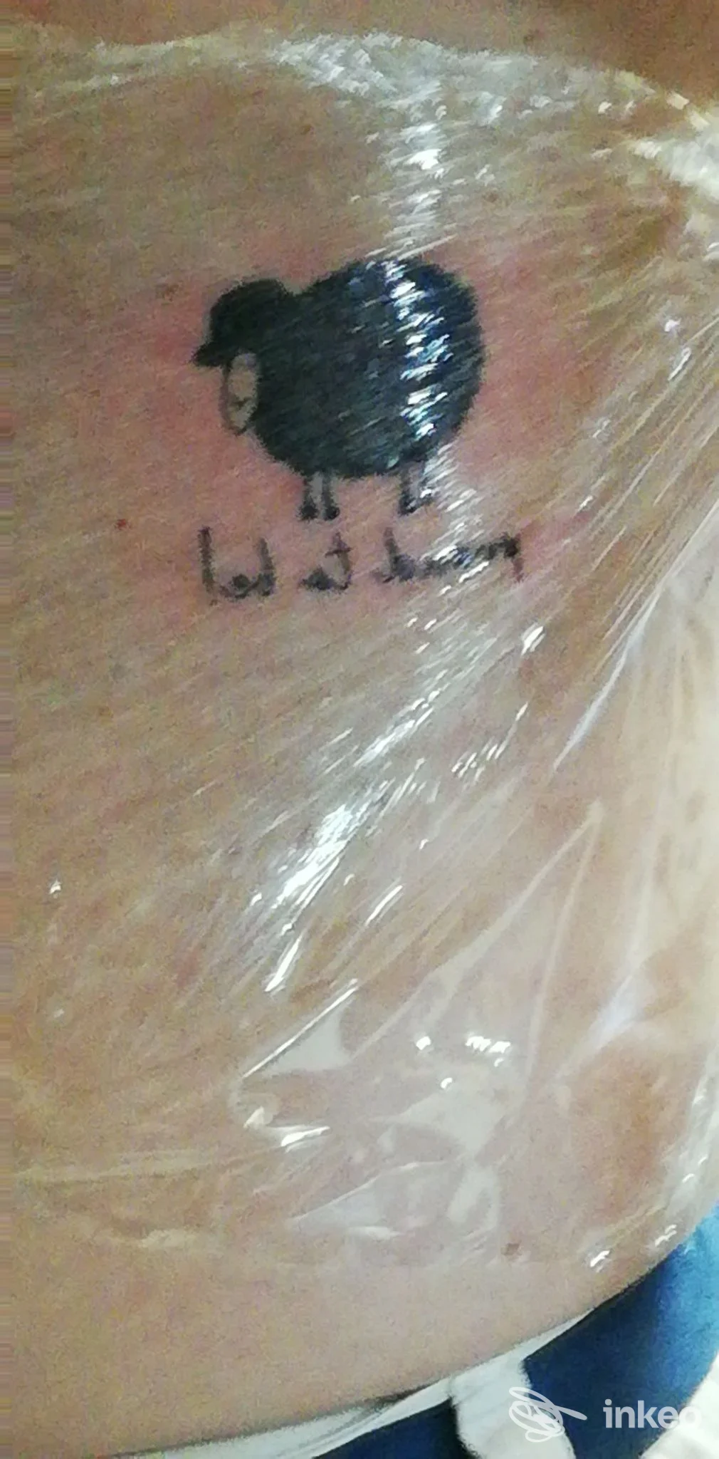Tatuaggio su pelle raffigurante una pecora nera con scritta sottostante, realizzato nello studio Zac Tattoo Crew a Napoli, coperto da pellicola protettiva.