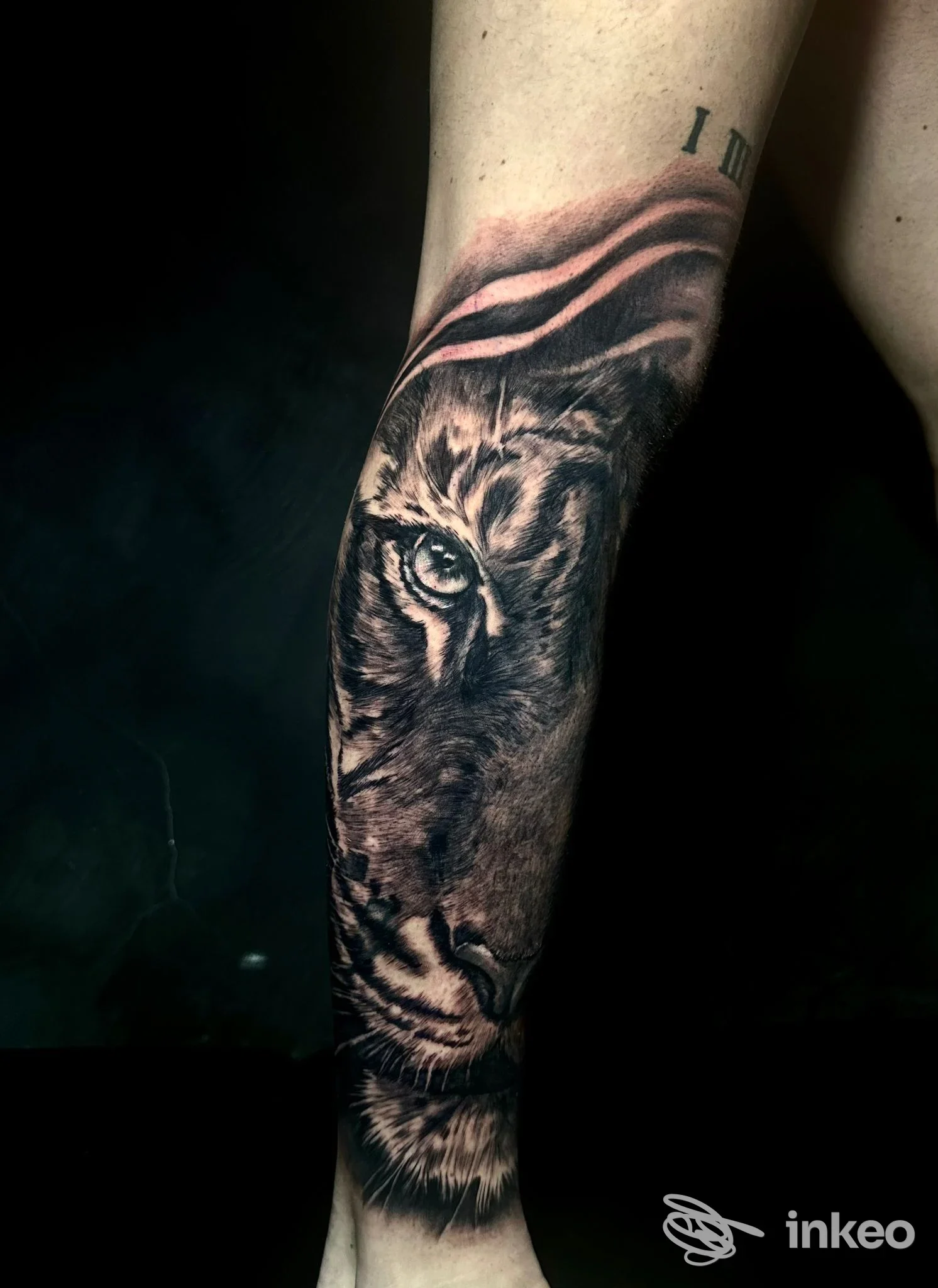 Dettaglio di tatuaggio realistico su avambraccio raffigurante la testa di un felino, eseguito presso Marble Tattoo Studio a Battipaglia.