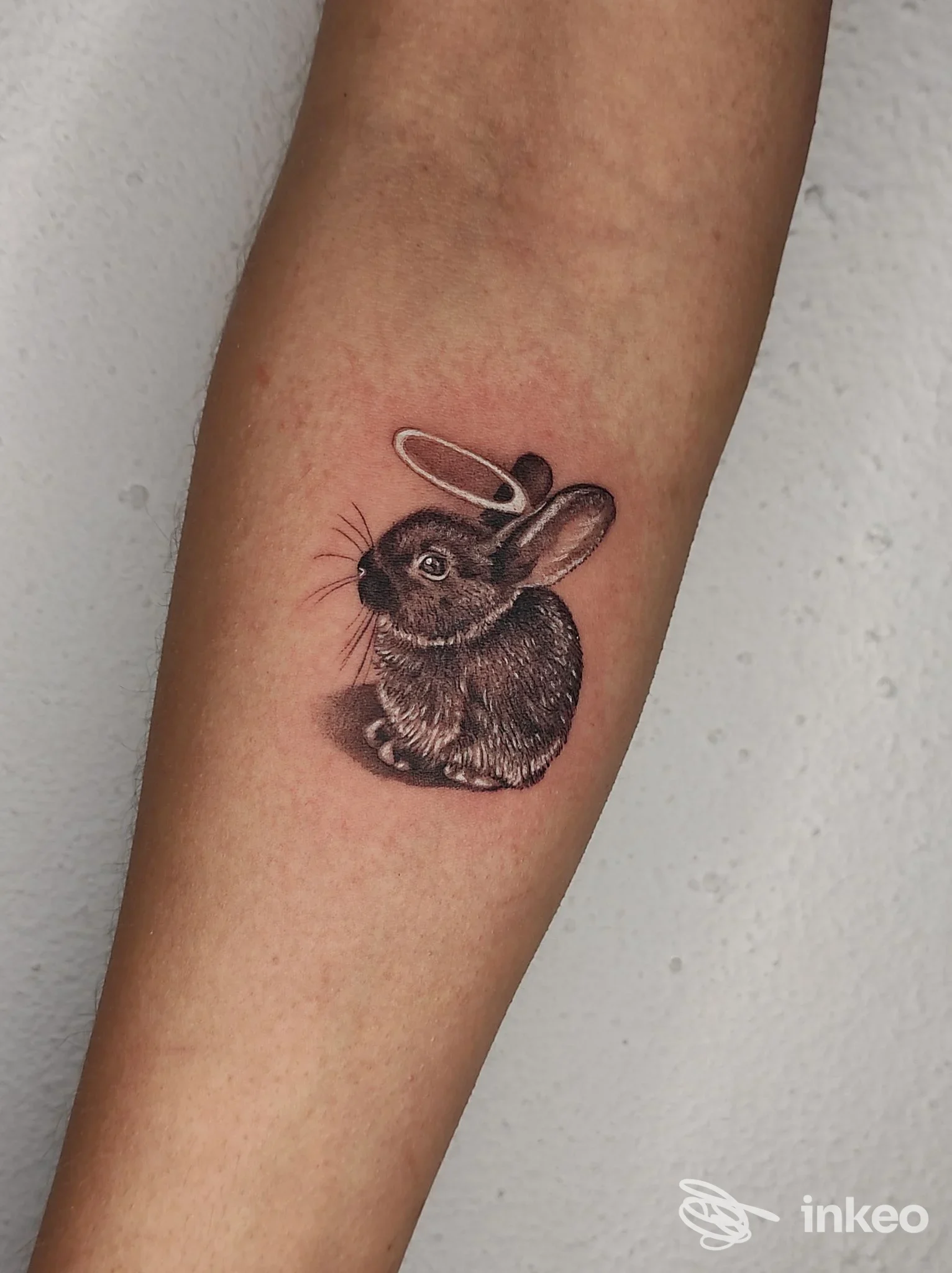 Tatuaggio realistico su pelle raffigurante un coniglio con aureola sull'avambraccio