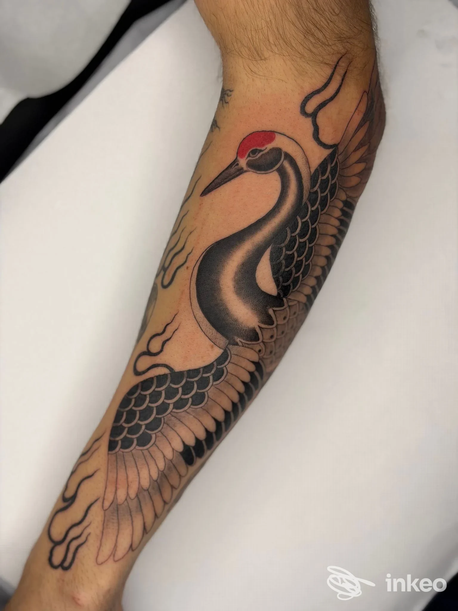 Tattoo su avambraccio raffigurante una garzetta nera con becco rosso, con dettagli di piumaggio e contorni scuri, realizzato direttamente sulla pelle.