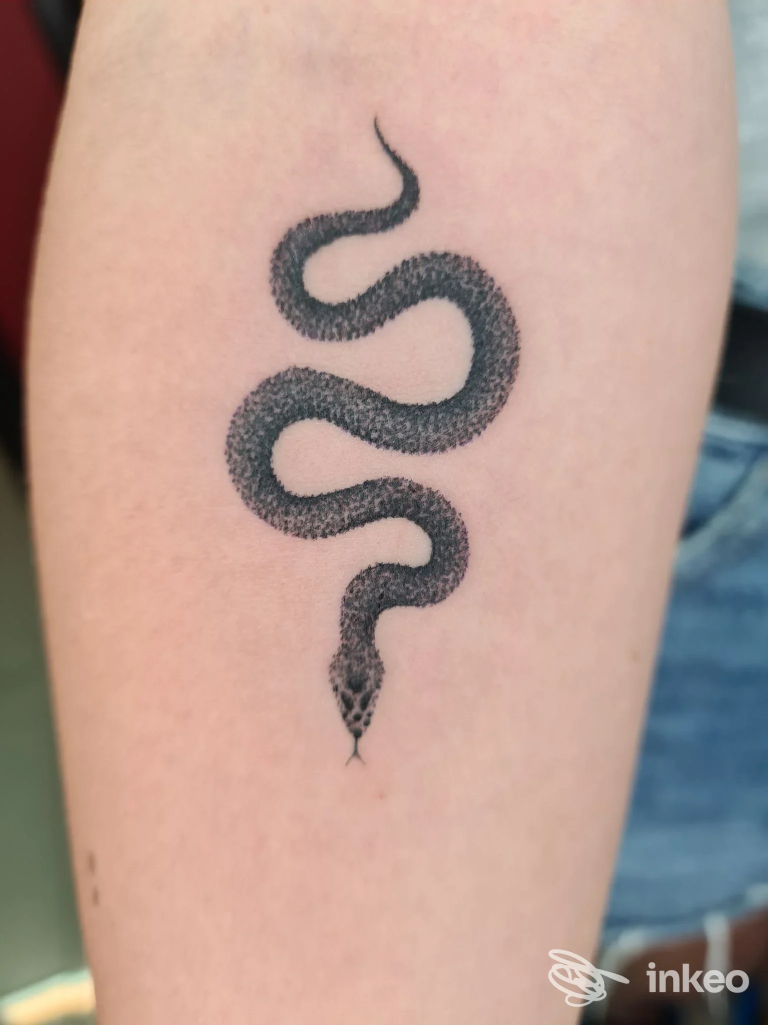 Tatuaggio di serpente nero e dettagliato sulla pelle del braccio, stile lineare e sfumato, realizzato in uno studio di Napoli chiamato Little Star Tattoo.