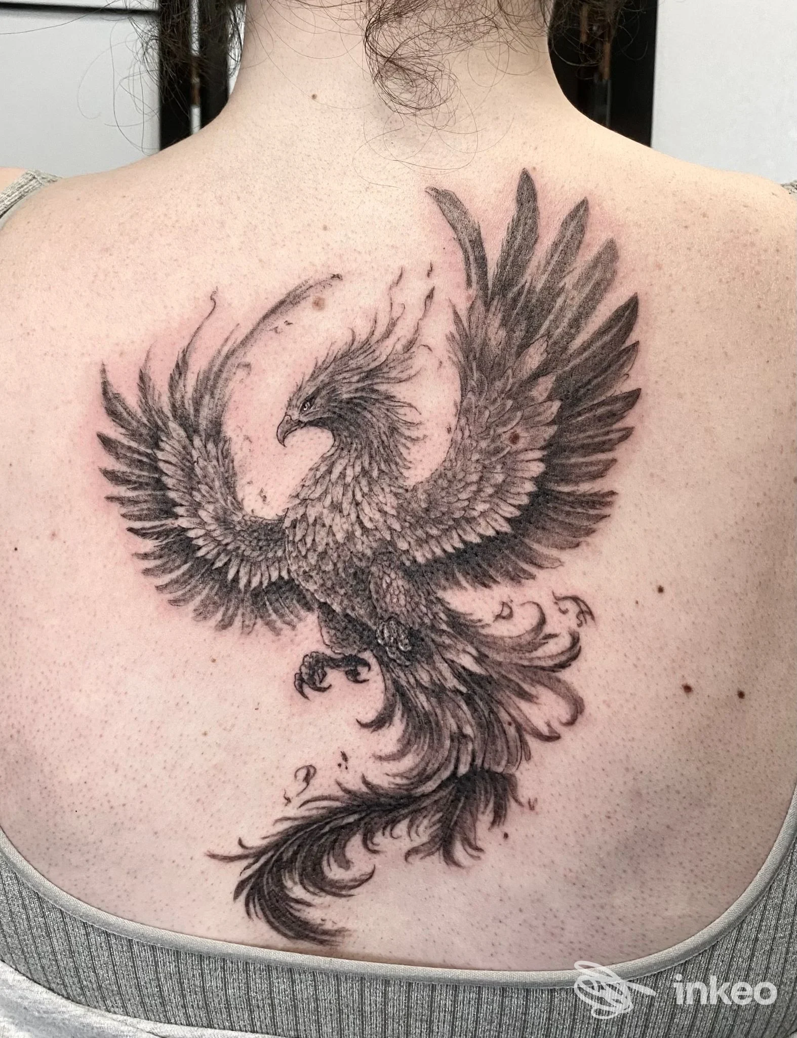 Tatuaggio reale di fenice su schiena, eseguito su pelle, visibile senza watermark o overlay, presso Noxara Tattoo Studio, Atripalda.
