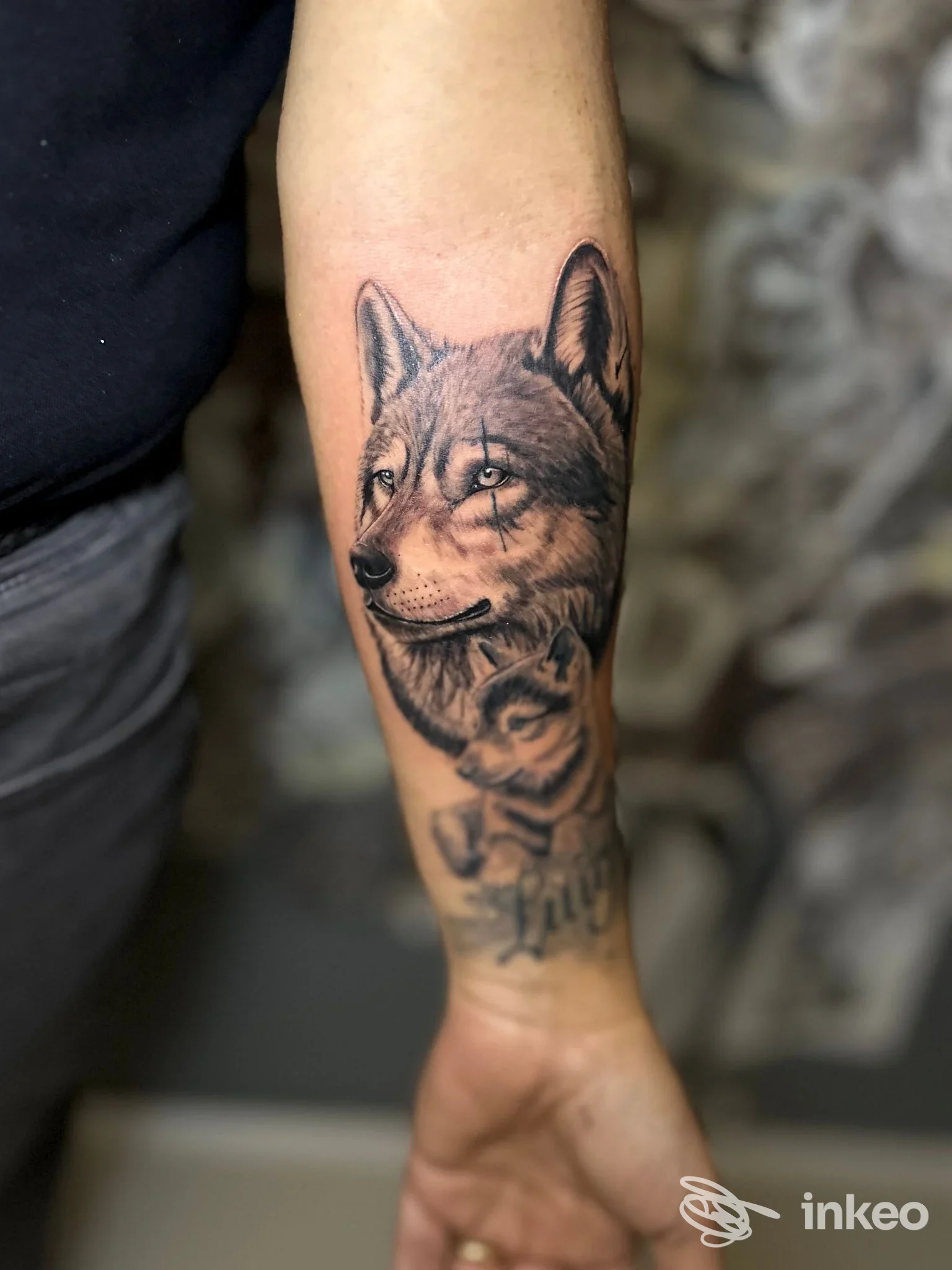Tatuaggio realistico di un lupo sul braccio, realizzato presso The Black Deer a Atripalda, mostrato sulla pelle della persona.
