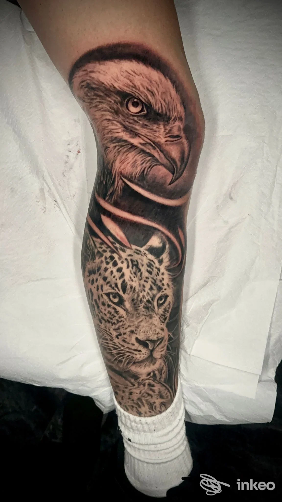 Tattoo completo su polpaccio: head of an eagle in detailed noir stile, accompagnato da un leopardo sullo sfondo; colori neri e grigi con sfumature complesse; visibile parte della gamba e calzino bianco.