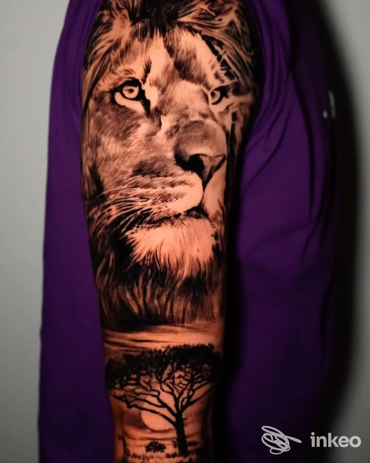 Tatuaggio realistico di leone su braccio, visibile pelle reale, con sfondo viola, senza elementi di interfaccia o testo di piattaforma.