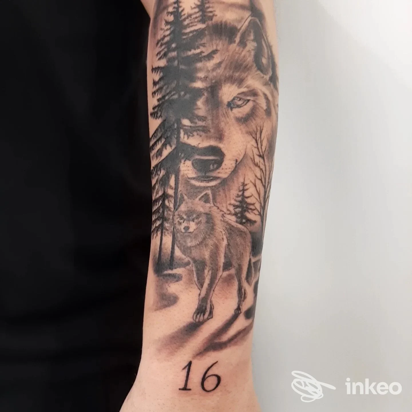Avambraccio tatuato con lupo al centro, foresta sullo sfondo e numero 16 in basso; stile realistico in bianco e nero.