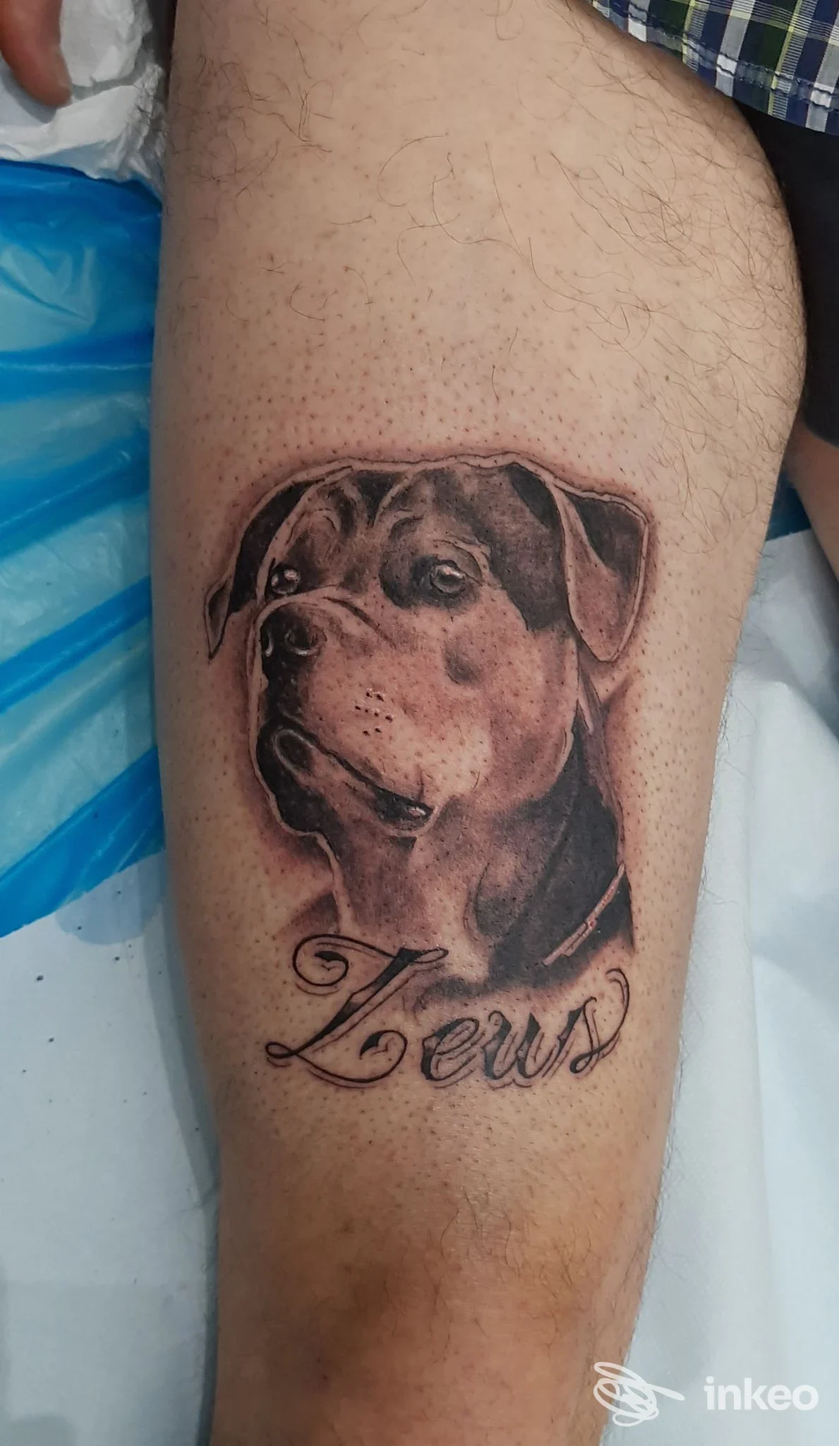Tatuaggio realistico di una testa di cane sul braccio, con scritta in corsivo sotto il ritratto.