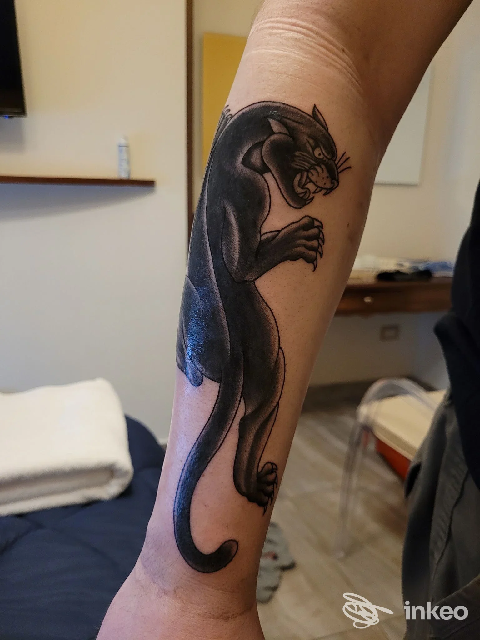 Tattoo su braccio raffigurante gatto nero, stile realistico, visibile su pelle, realizzato presso Ex Voto Tattoo Shop a Napoli.