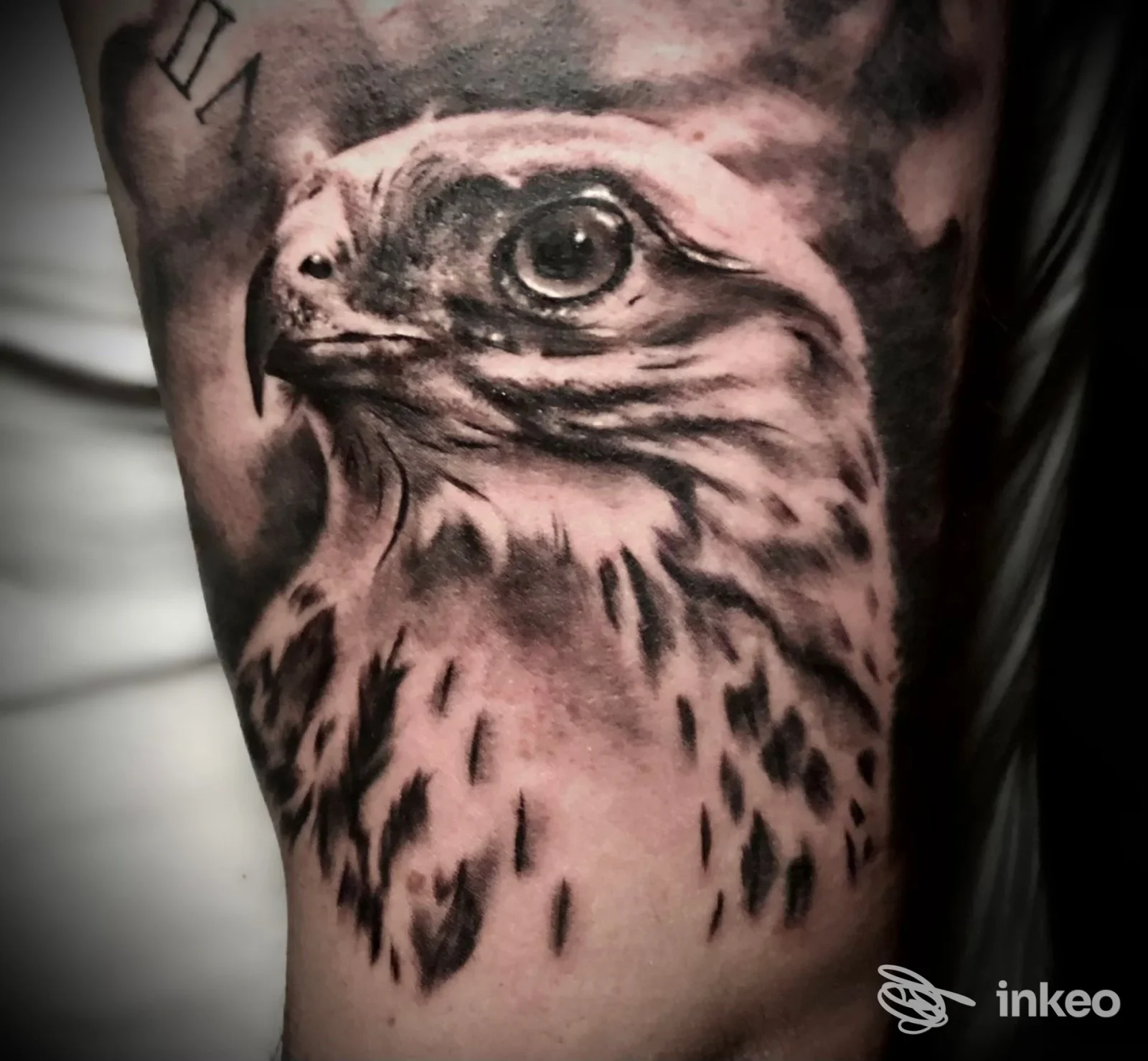 Tattoo realistico di un volatile sul braccio, realizzato sulla pelle; scatto proveniente dallo studio Black Soul Tattoo Studio a Nusco.