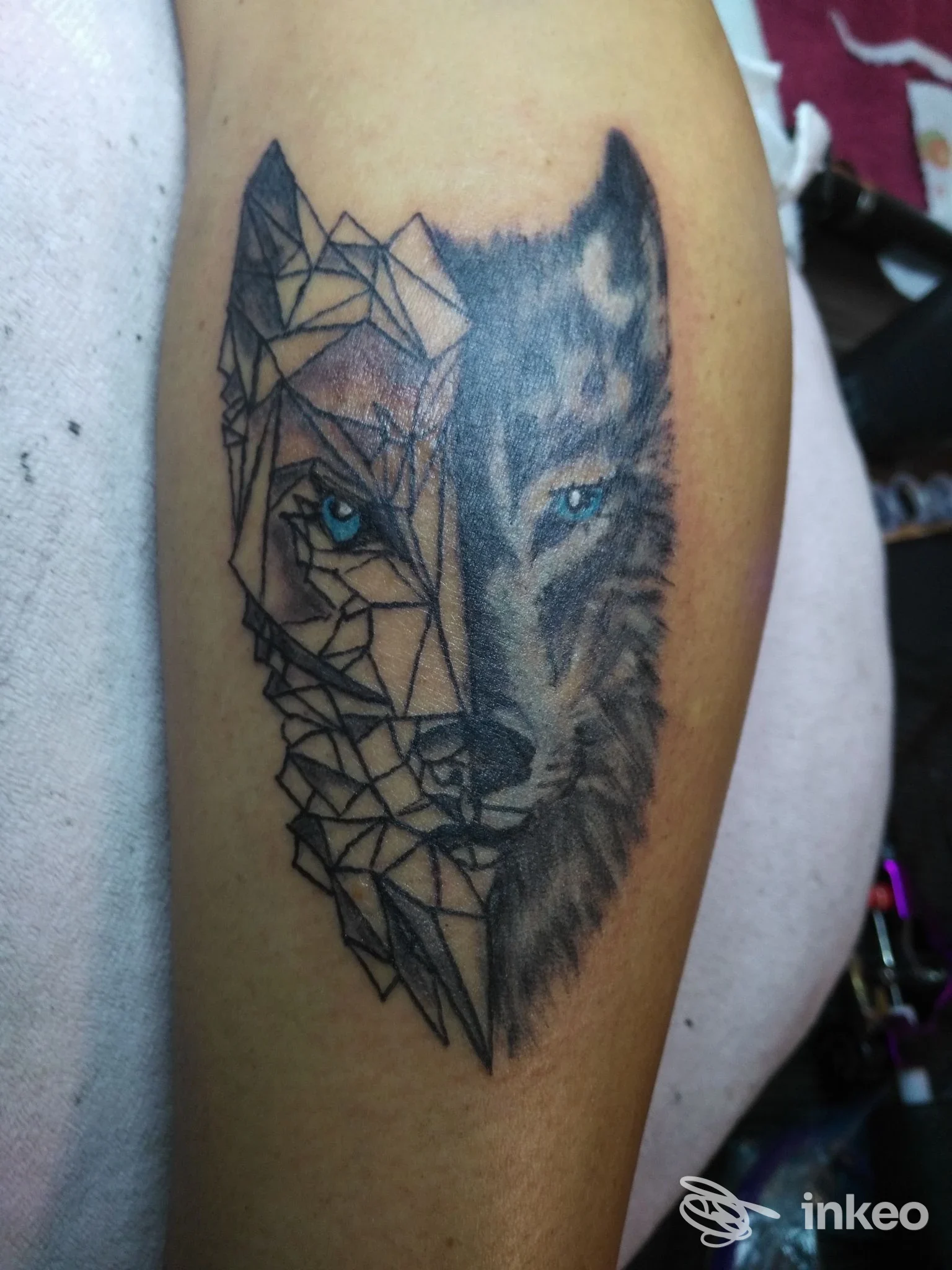 Tattoo su braccio raffigurante una metà volpe realistico-geometrica, con linee nere geometriche sulla sinistra e dettaglio realistico sulla destra, colori scuri e occhio azzurro evidenziato.