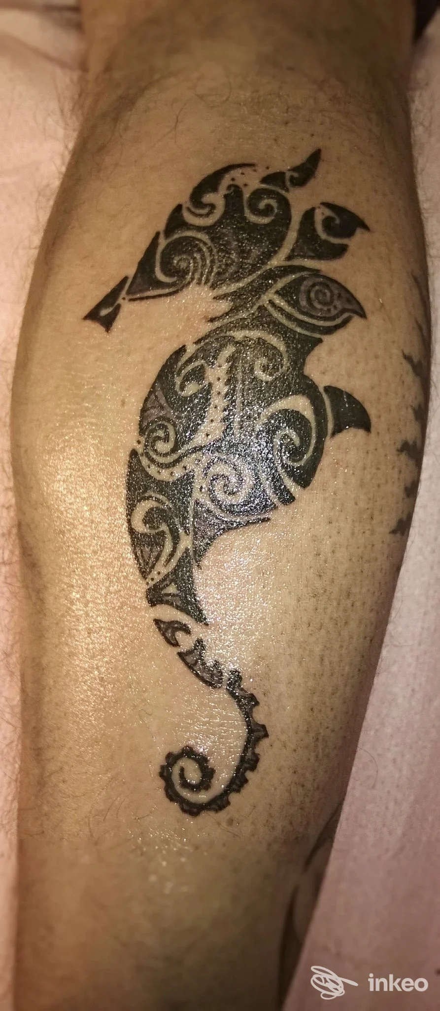 Tatuaggio su pelle del braccio: due pesci stilizzati dal motivo tribale nero, visibili chiaramente su una pelle con texture.