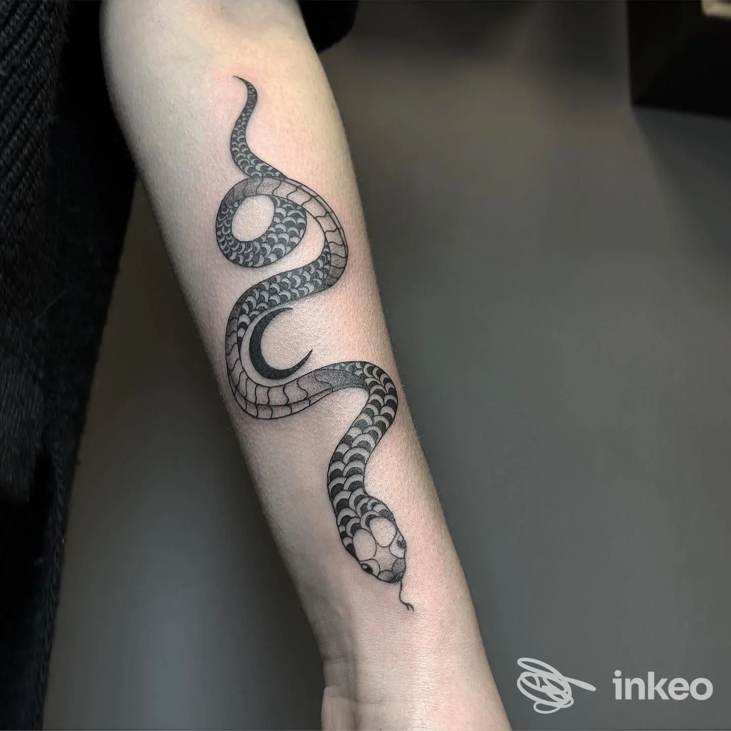 Avambraccio di una persona con un serpente tatuato, linee nere dettagliate e tonalità di grigio su pelle chiara.