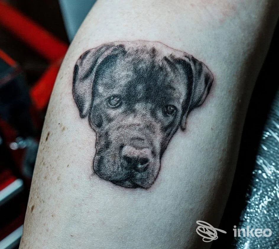 Tatuaggio realistico di testa di cane realizzato sulla pelle, realizzato presso DEALER INK TATTOO a Airola, visibile chiaramente come lavoro corporeo.
