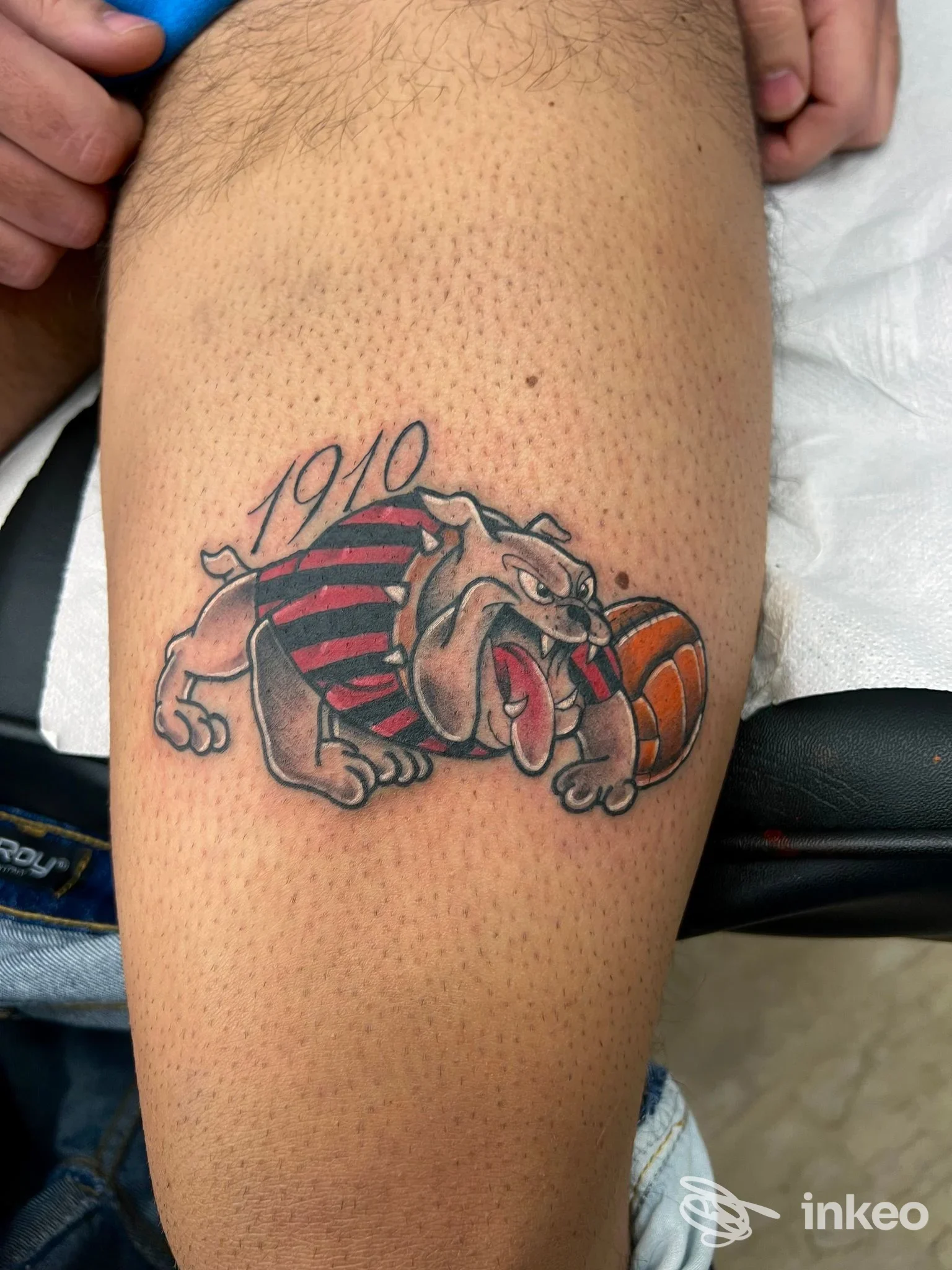 Tattoo colorato su coscia raffigurante un bulldog con pallone da basket, visibile pelle con pori e lucentezza tipica; nessun volto intero o elemento di studio visibile.