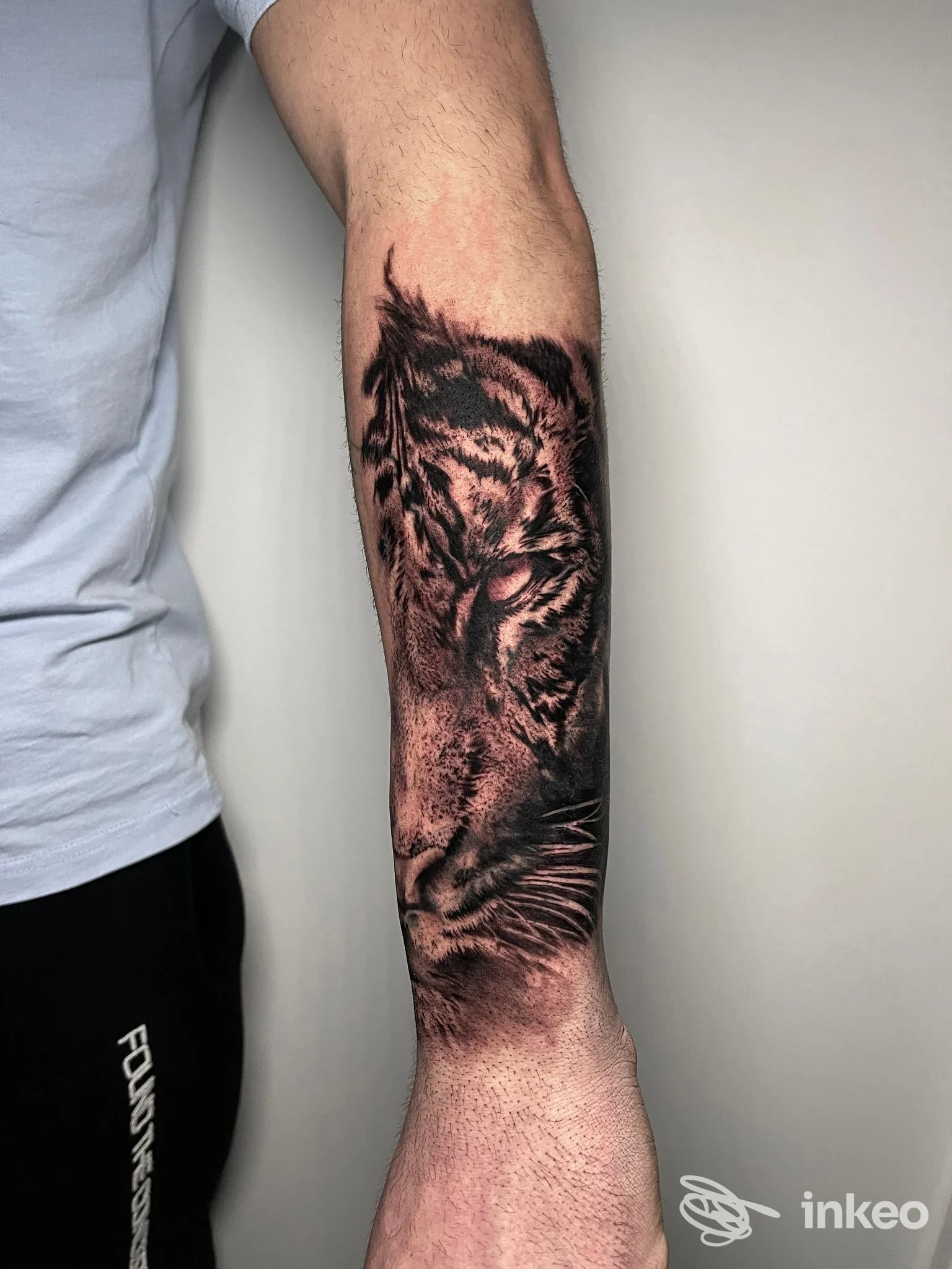 Tattoo realistico di tigre stampato sull'avambraccio: tonalità nere e grigie, alto livello di dettaglio sulla pelle.