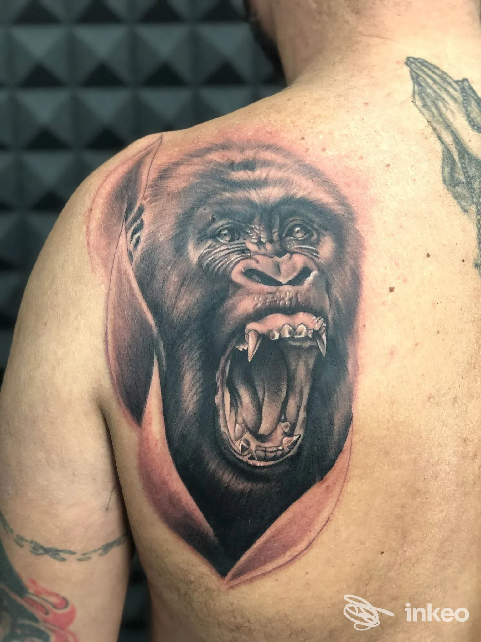 Tattoo realistico di una scimmia esposta su una spalla/posterolaterale sinistra, realizzato a Napoli da Emanuele Paioli, mostra dettagli anatomici e tonalità scure.
