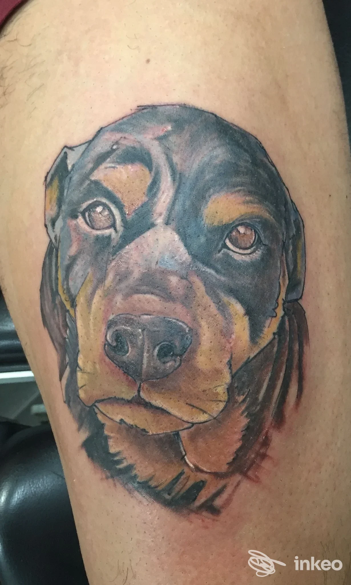 Tatuaggio realistico di un cane posto sul braccio, con dettagli e colori vividi, realizzato sulla pelle. Studio Art Room Tattoo, Battipaglia.