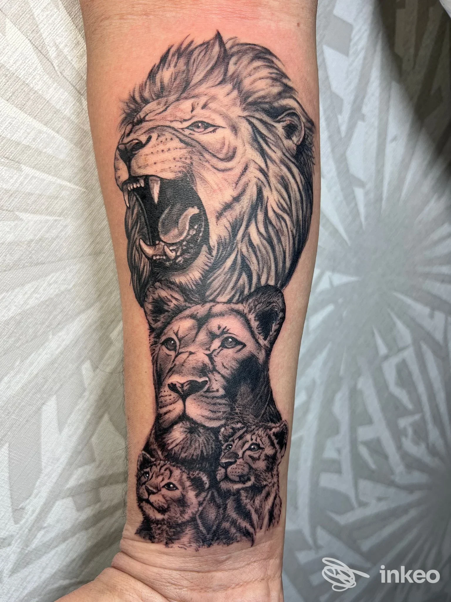 Tatuaggio realistico in bianco e nero sull’avambraccio: leone ruggente in alto e testa di leone con cuccioli sotto, realizzato sulla pelle del braccio.