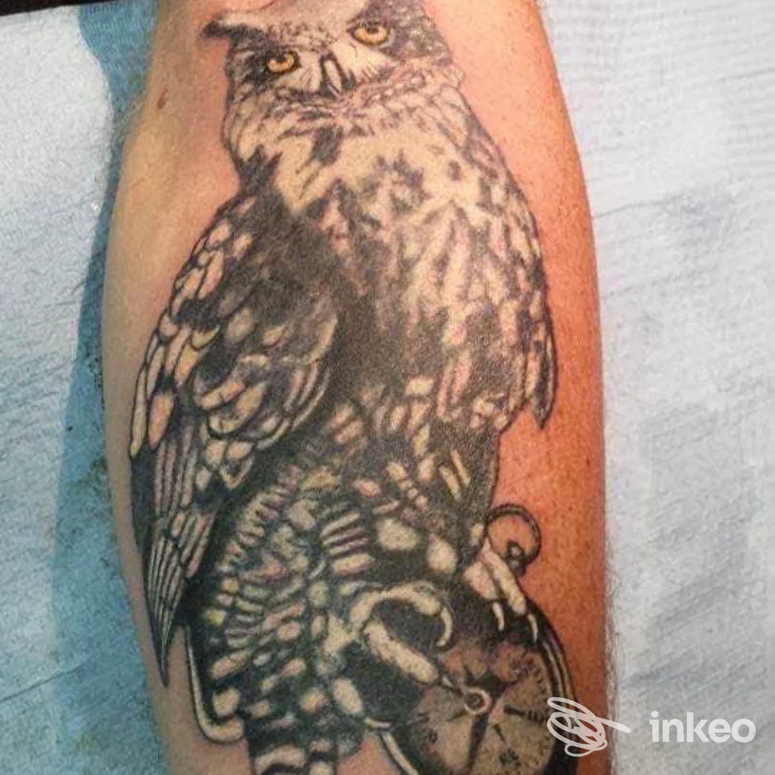 Tattoo realistico di un gufo su braccio, realizzato nello studio Dragon Heart Tattoo a Salerno.